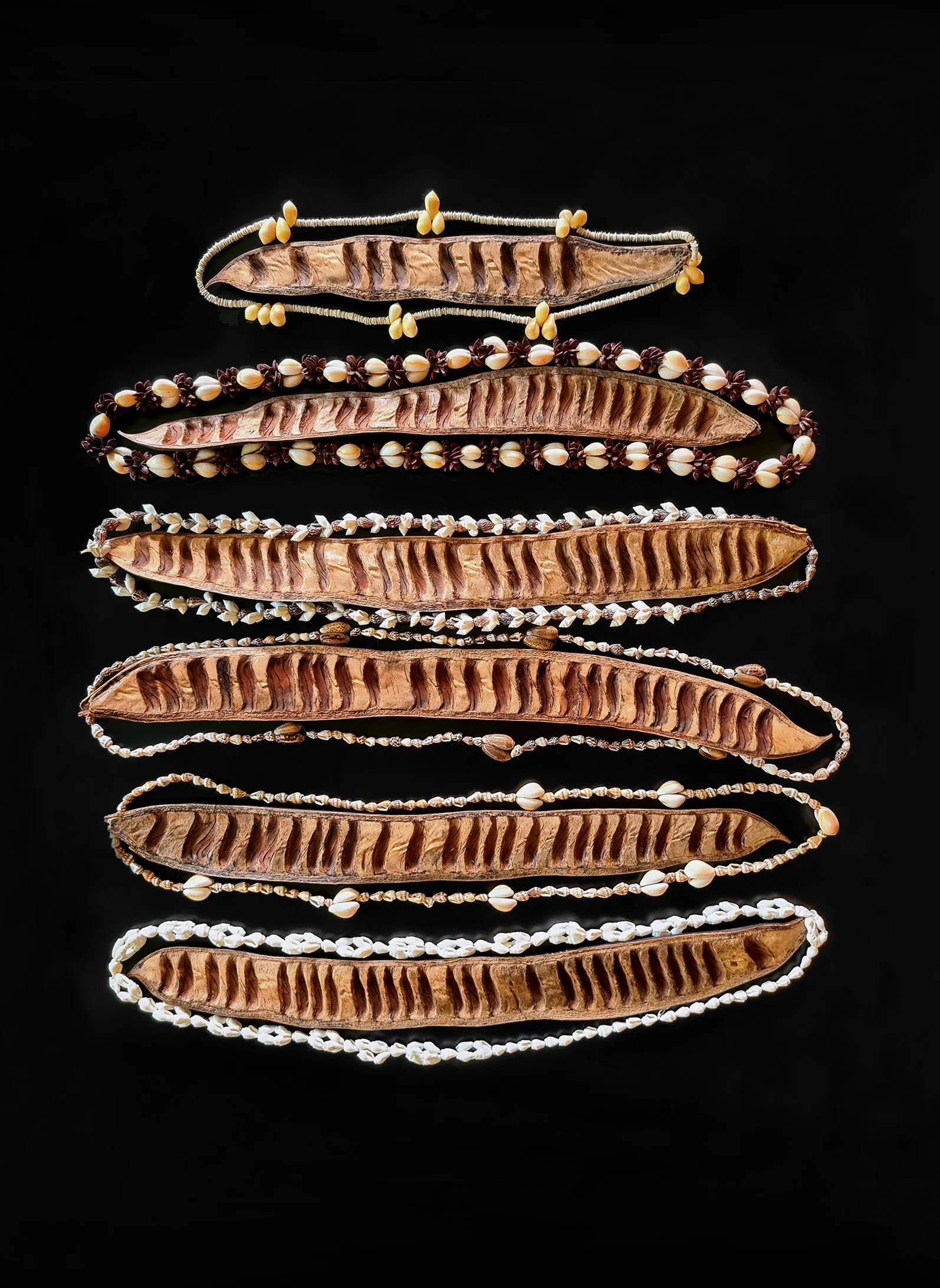 seedpods and shell necklaces