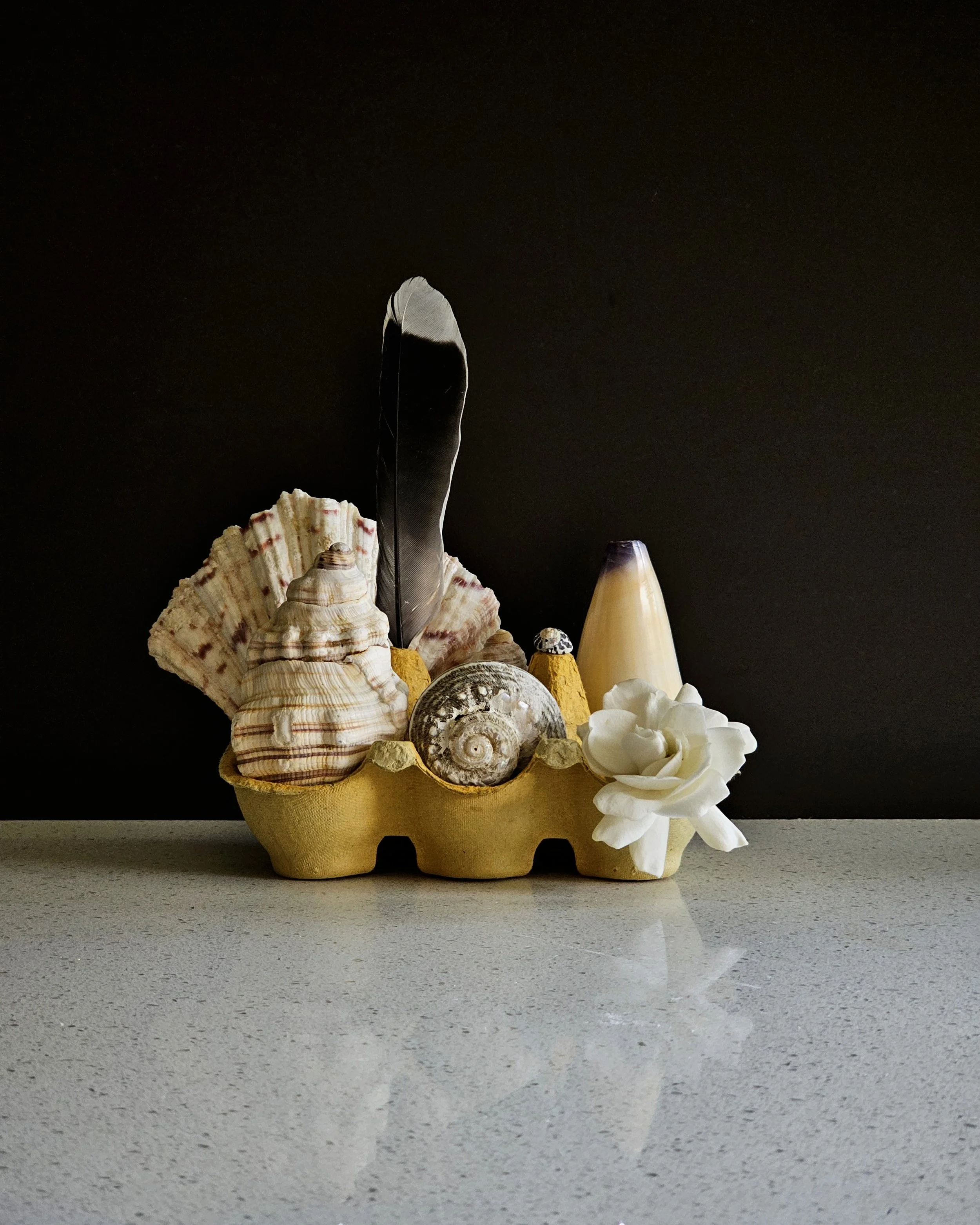 Collection of natural objects