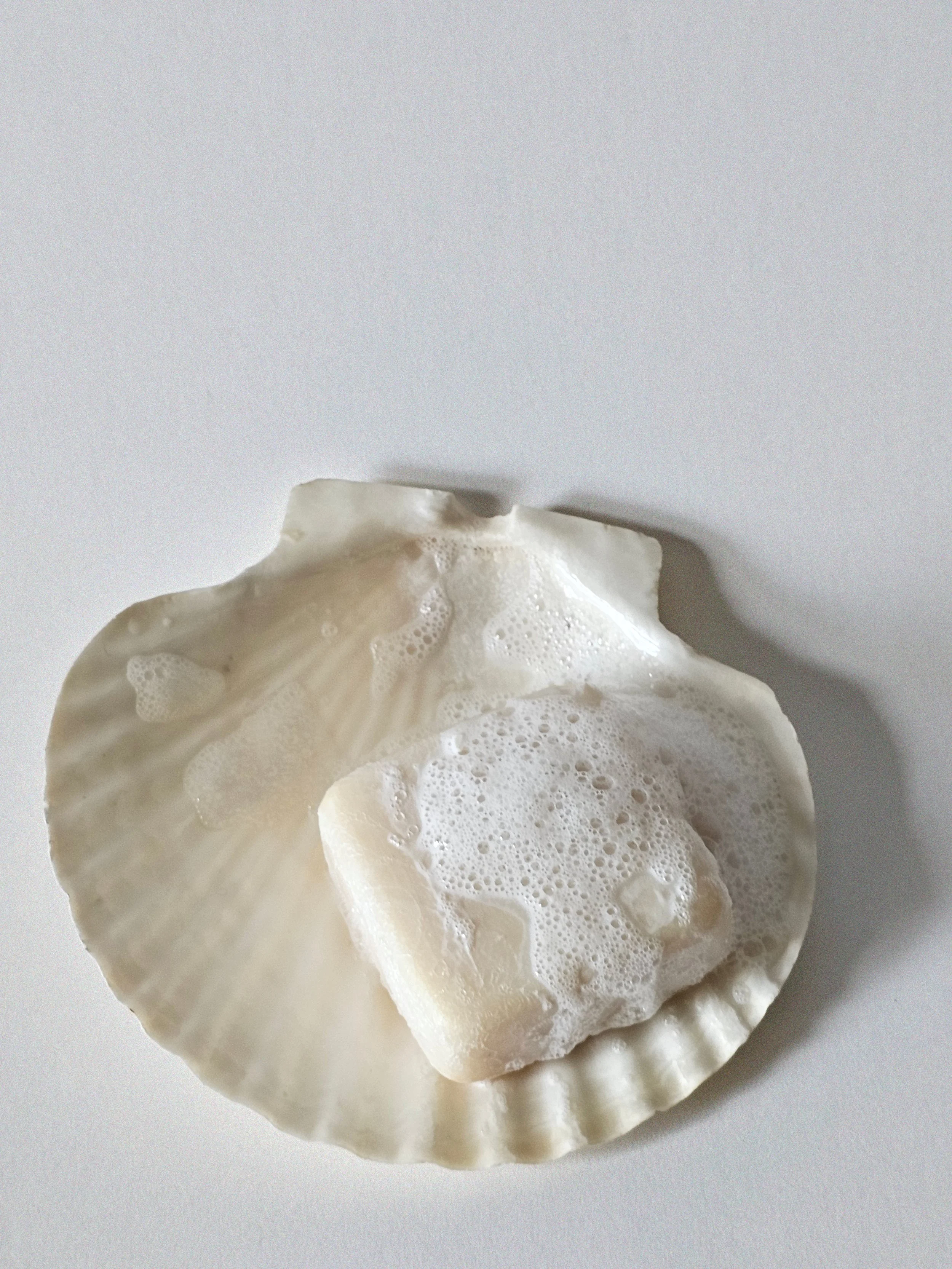 cshellbar1a.jpg