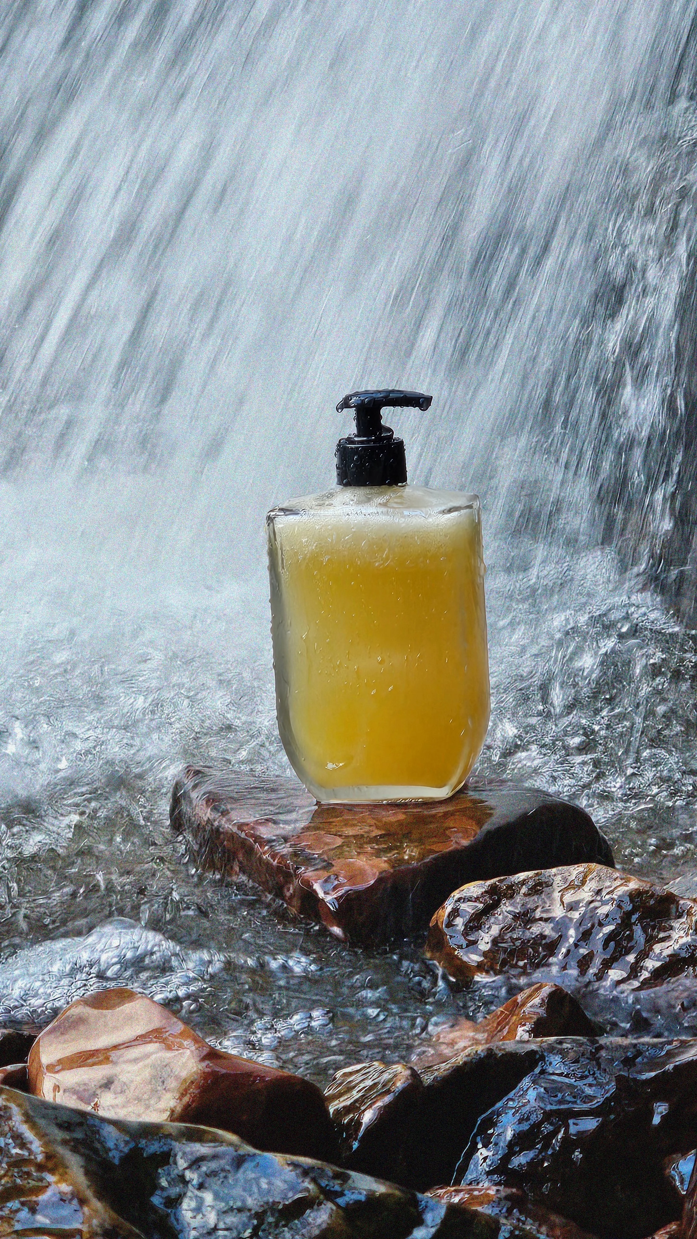 mircea-fall.1.jpg