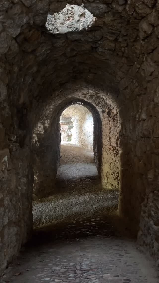 What’s the secret behind Fontaine’s new guest? Find out at SSG’s stage adaptation of Carmilla. Book your tickets now through link in bio!🎟️
.
.
.
.#heidelberg #englishtheatre #theatre #schauspielgruppe #theaterimromanischenkeller #