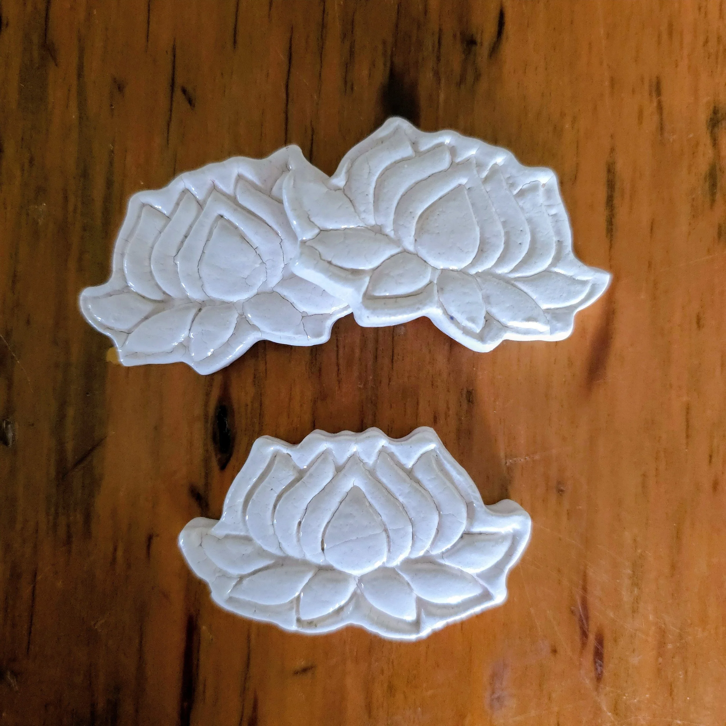 White Lotus Flowers
