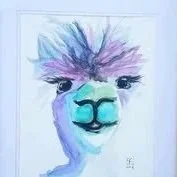 468964280_122187559508182247_9178170841418314546_n.jpg