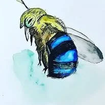 599922751_122250231974182247_2555602208508329362_n.jpg