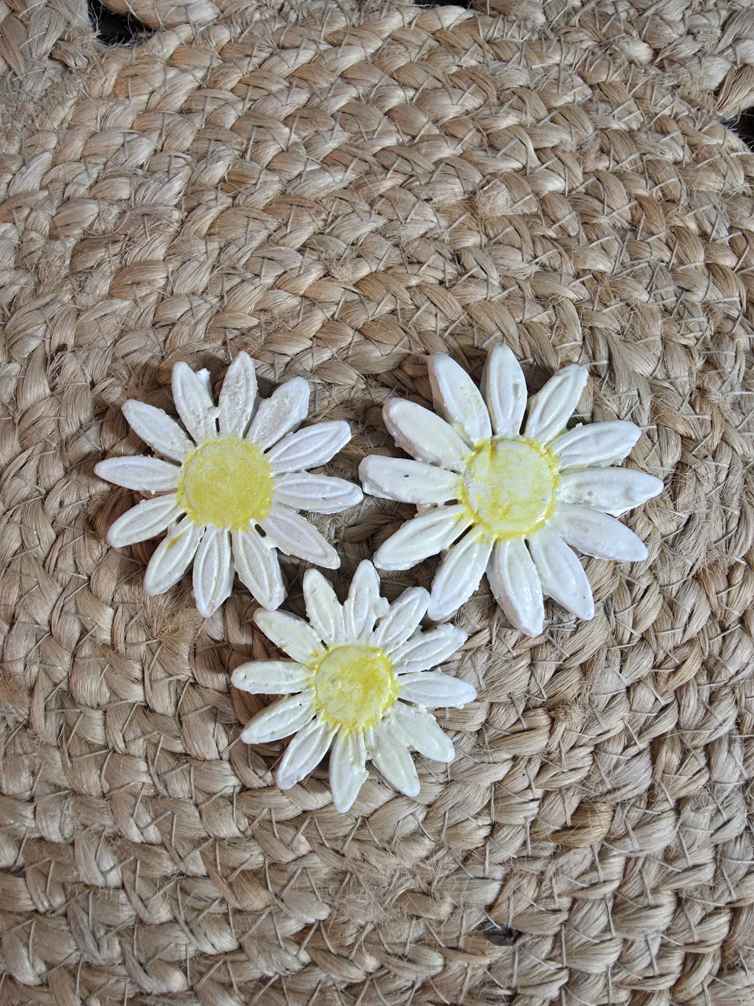 Daisies (White)