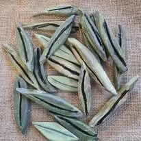 Gum Leaves (single)