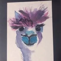 468986182_122187561770182247_4926718358356229512_n.jpg