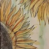 501394038_122219783882182247_3569518900184038866_n.jpg
