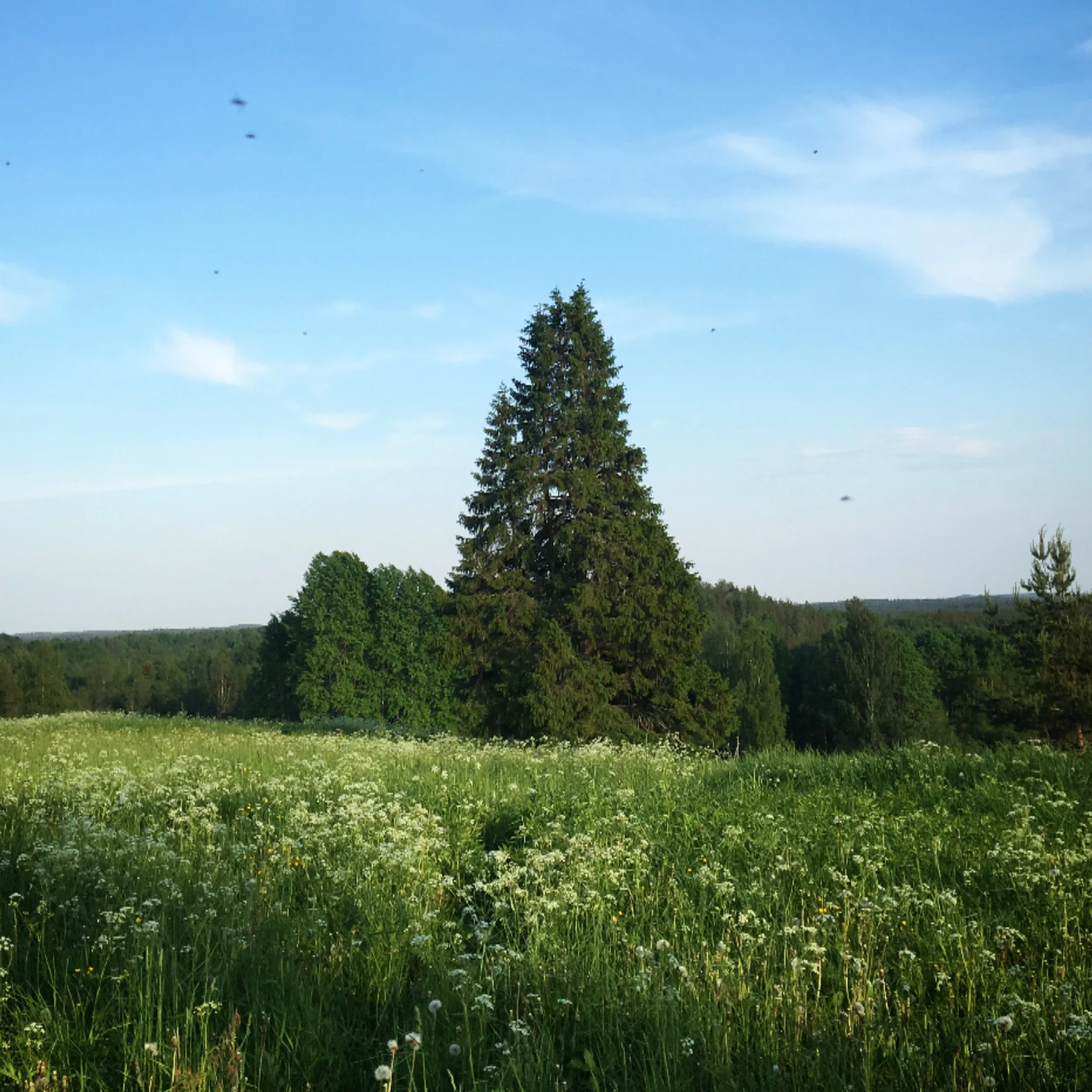AB38829E-7370-4D5D-ABC6-37EA061AE5DE.JPG