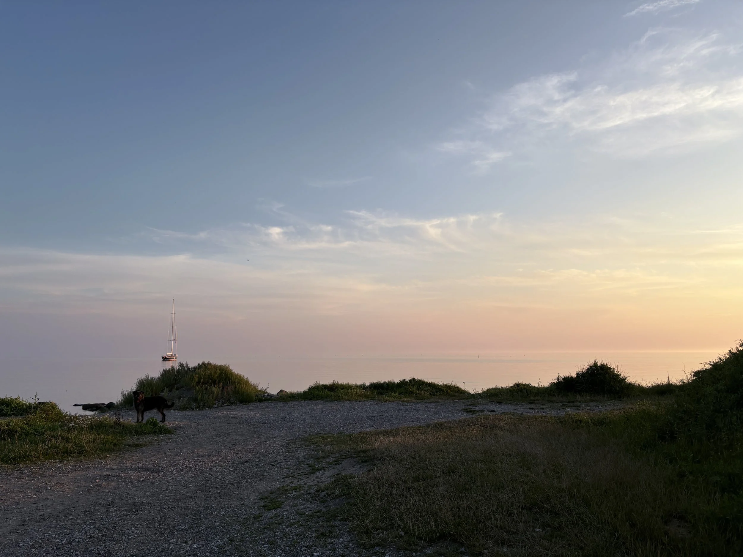 En grusvej gennem højt græs og vilde blomster, der fører ud til havet under en delvist overskyet blå himmel.