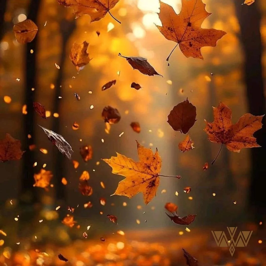 The Autumn Equinox