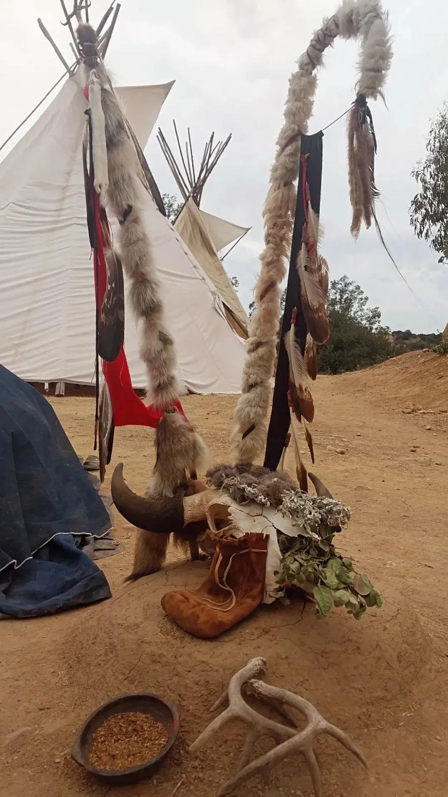 Reflections for the community post Sun Dance 2026: A Prayer Carried To The Tree of Life