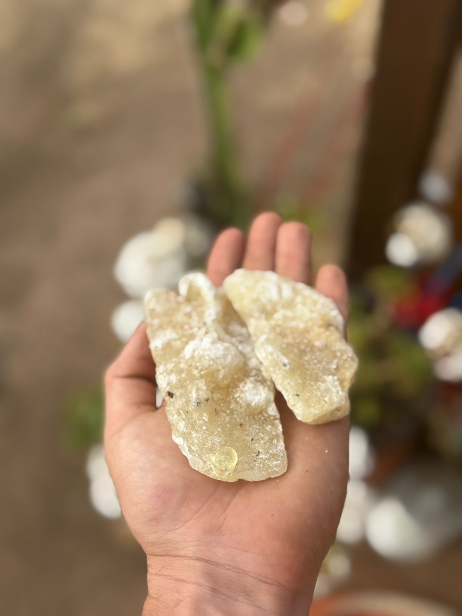 White Copal (100g) - Sourced From Mexico