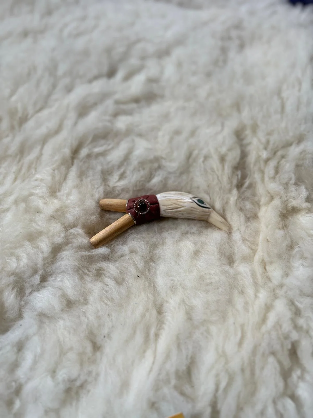 Sea Lion Tooth Eagle Kuripe