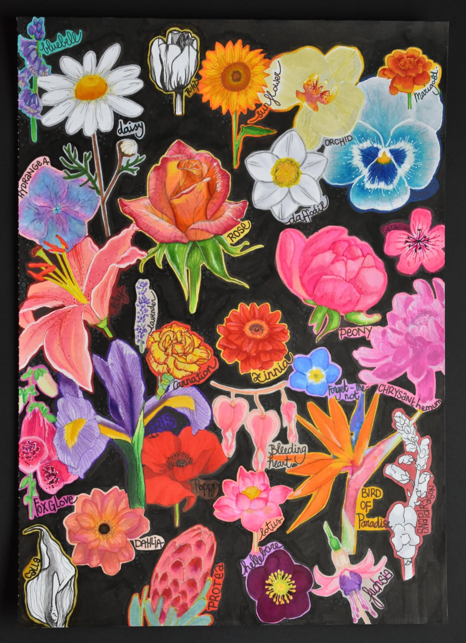 30 day drawing challenge - I love flowers and try to get better at drawing them. So a challenge would give me some training. I used alcohol markers, black and colored fine liners and acrylic markers.