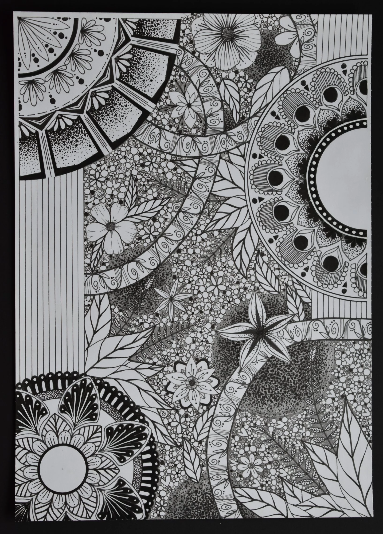 Mandala's dream-
I started making mandala's and I saw some Zen doodles passing by and I was intrigued and tried making something of my own incorporating flowers and other elements. I worked with fine liners, alcohol marker and a white acrylic pen.