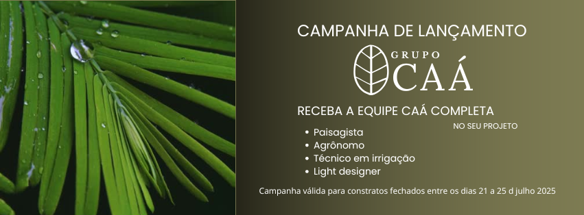 Campanha de lançamento