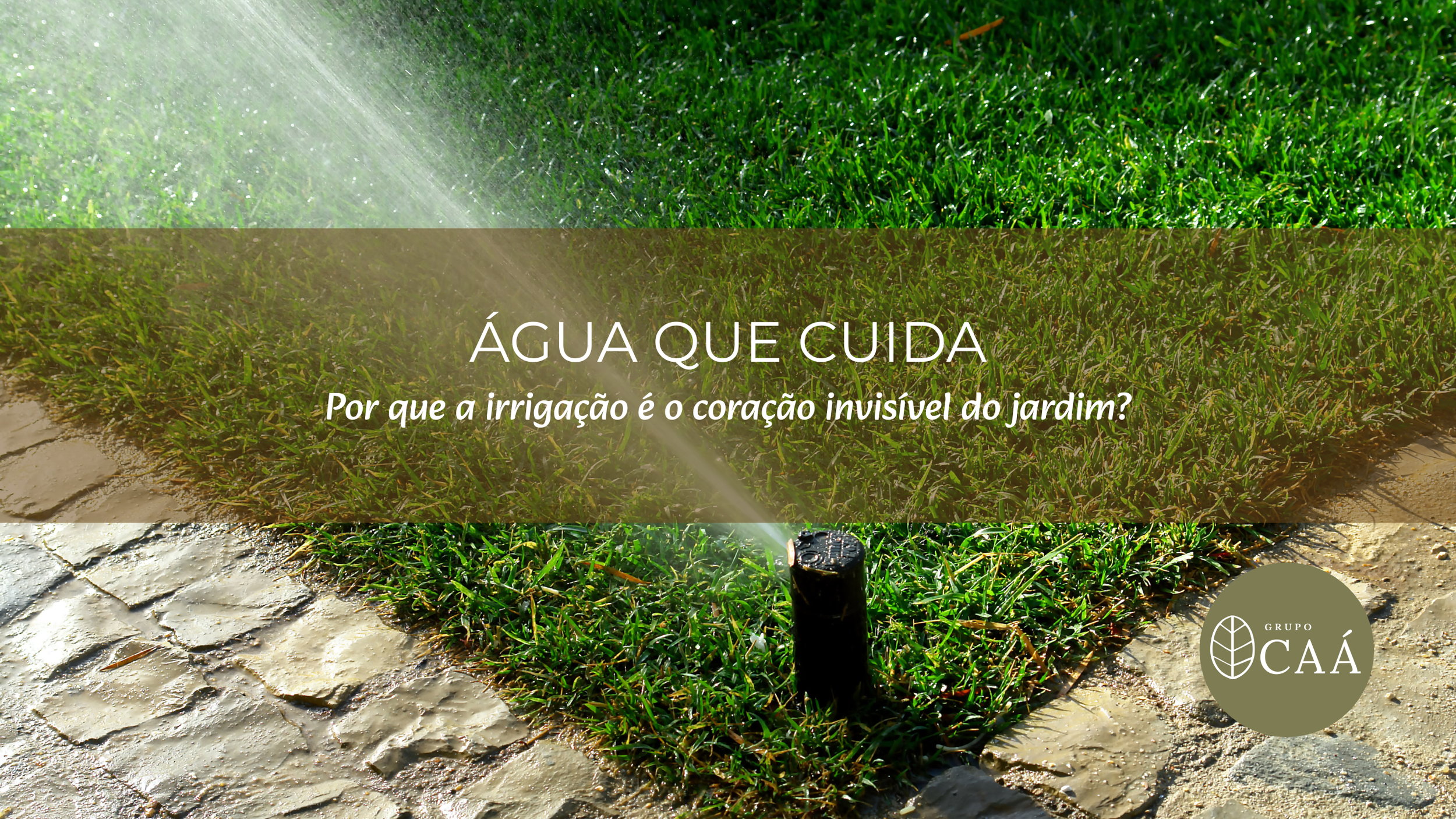 Água que cuida: por que a irrigação é o coração invisível do jardim