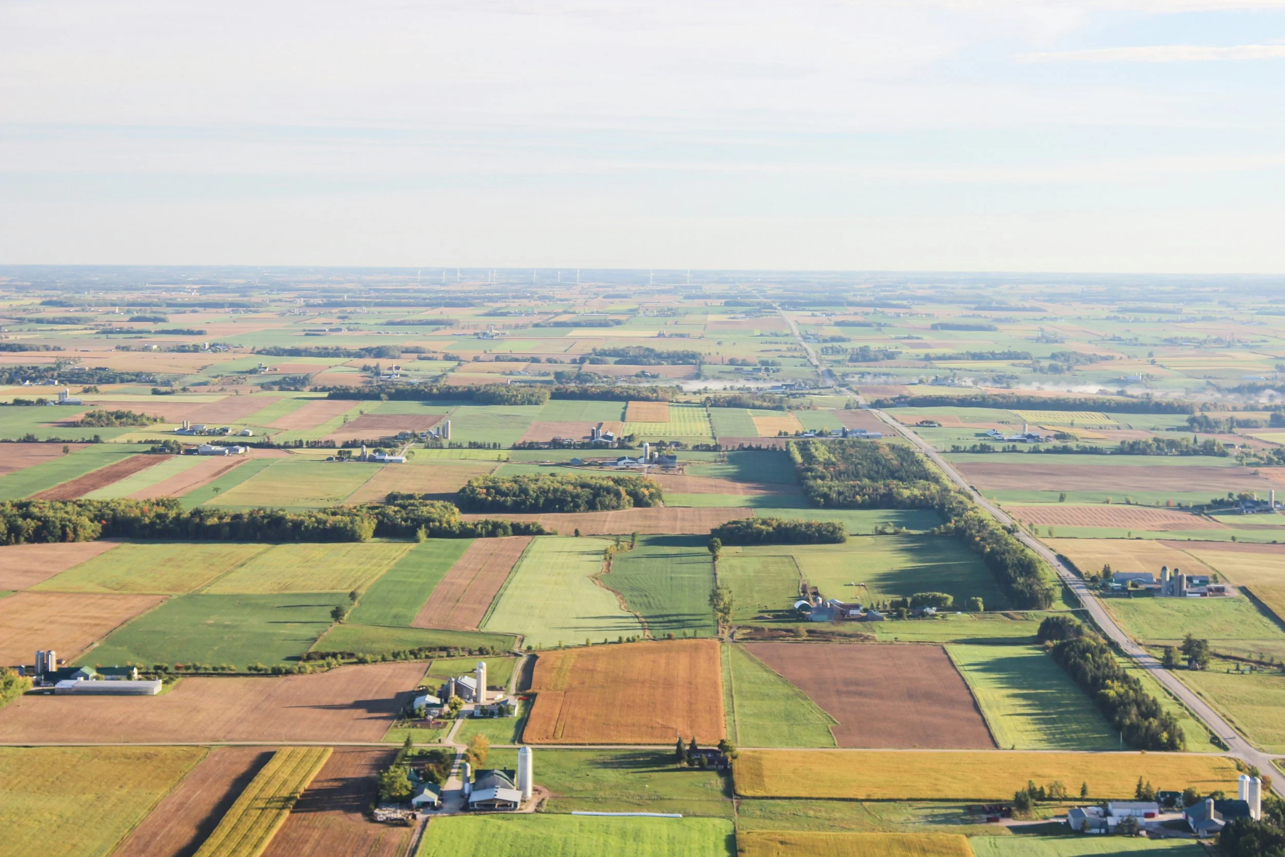 Expansive farmland landscape demonstrating crop rotation and healthy soil systems, where planting beans can help restore nutrients and reduce reliance on synthetic fertilizers.