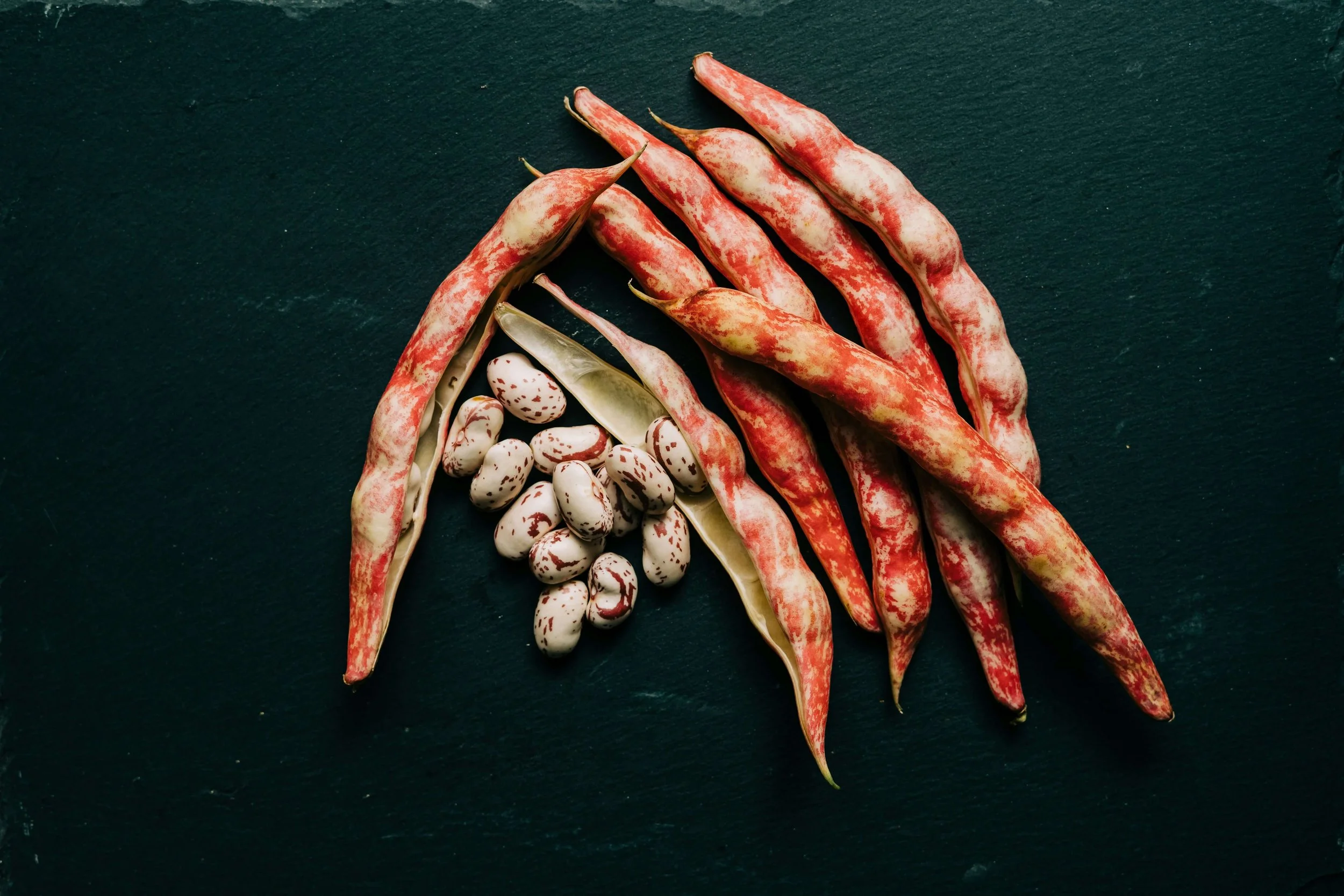 An image of beans, a powerful prebiotic food for supporting a healthy gut