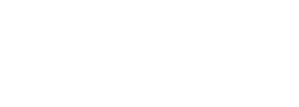 BVRNOUT