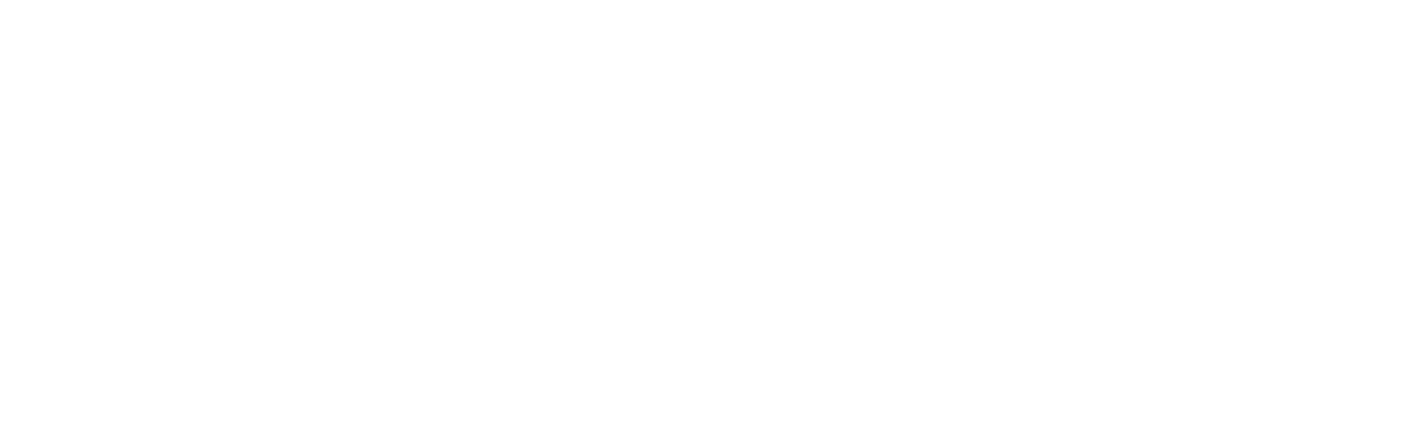 BVRNOUT