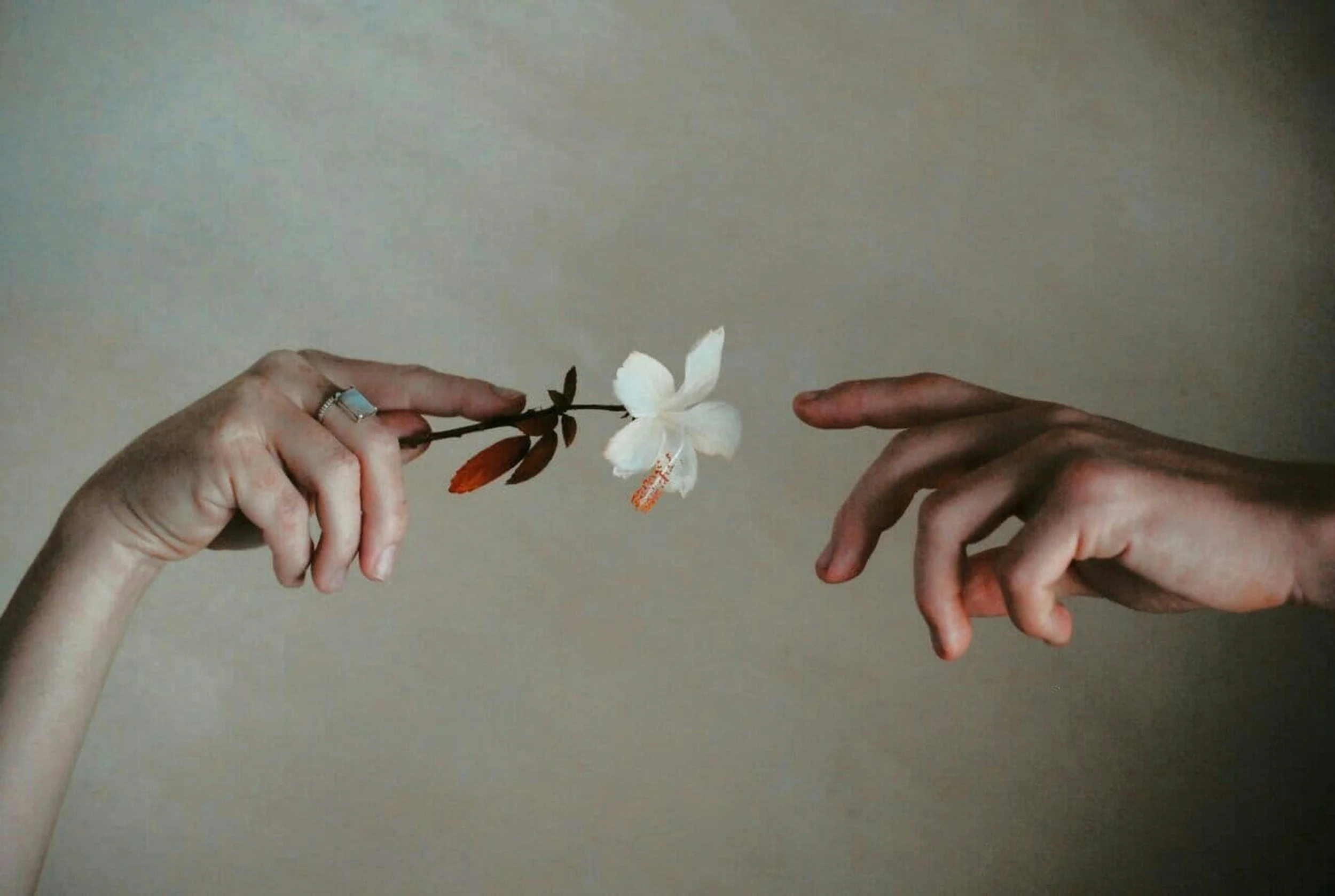 Forgiveness