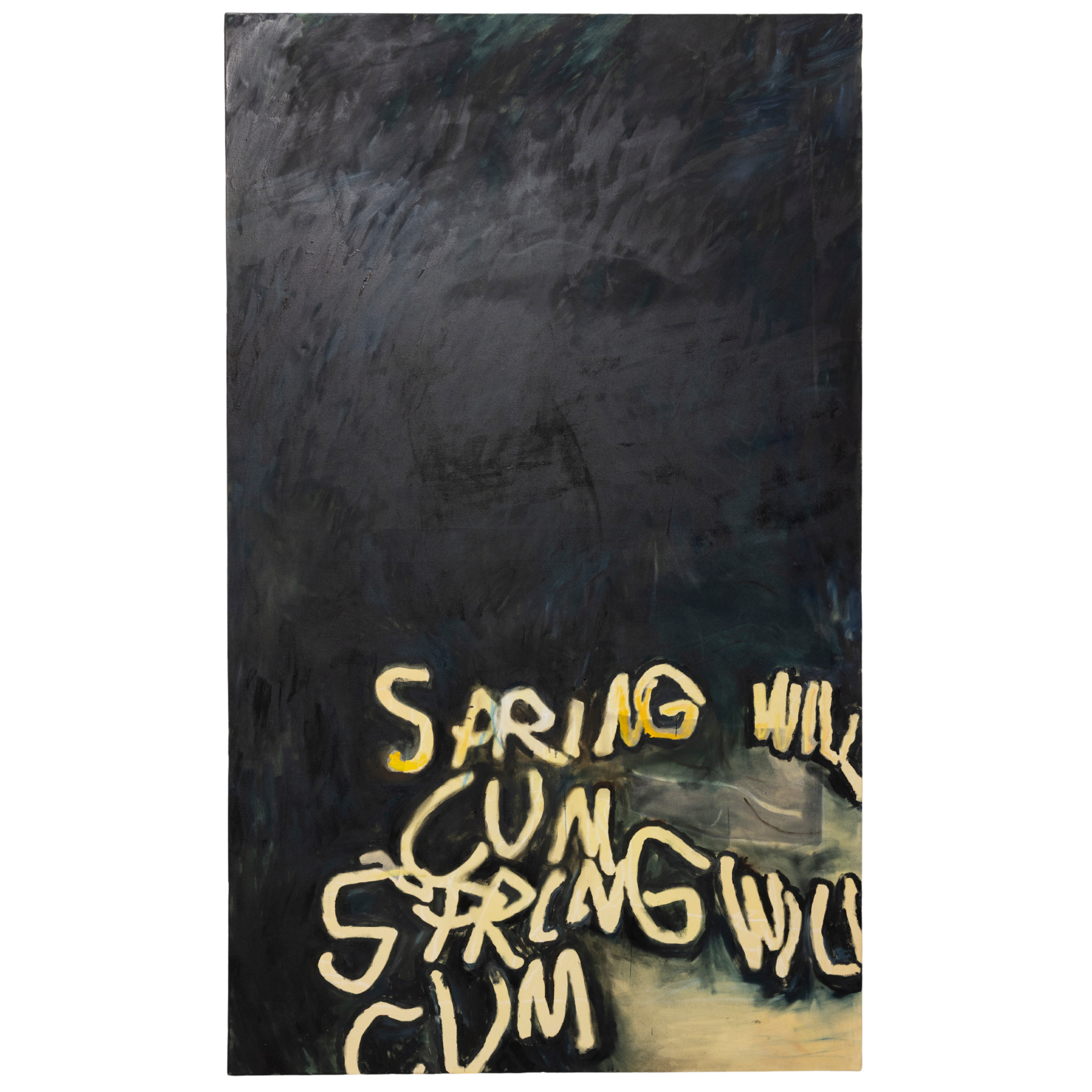 SPRING WIL CUM, 2026
Oil on canvas — 120 x 200 cm