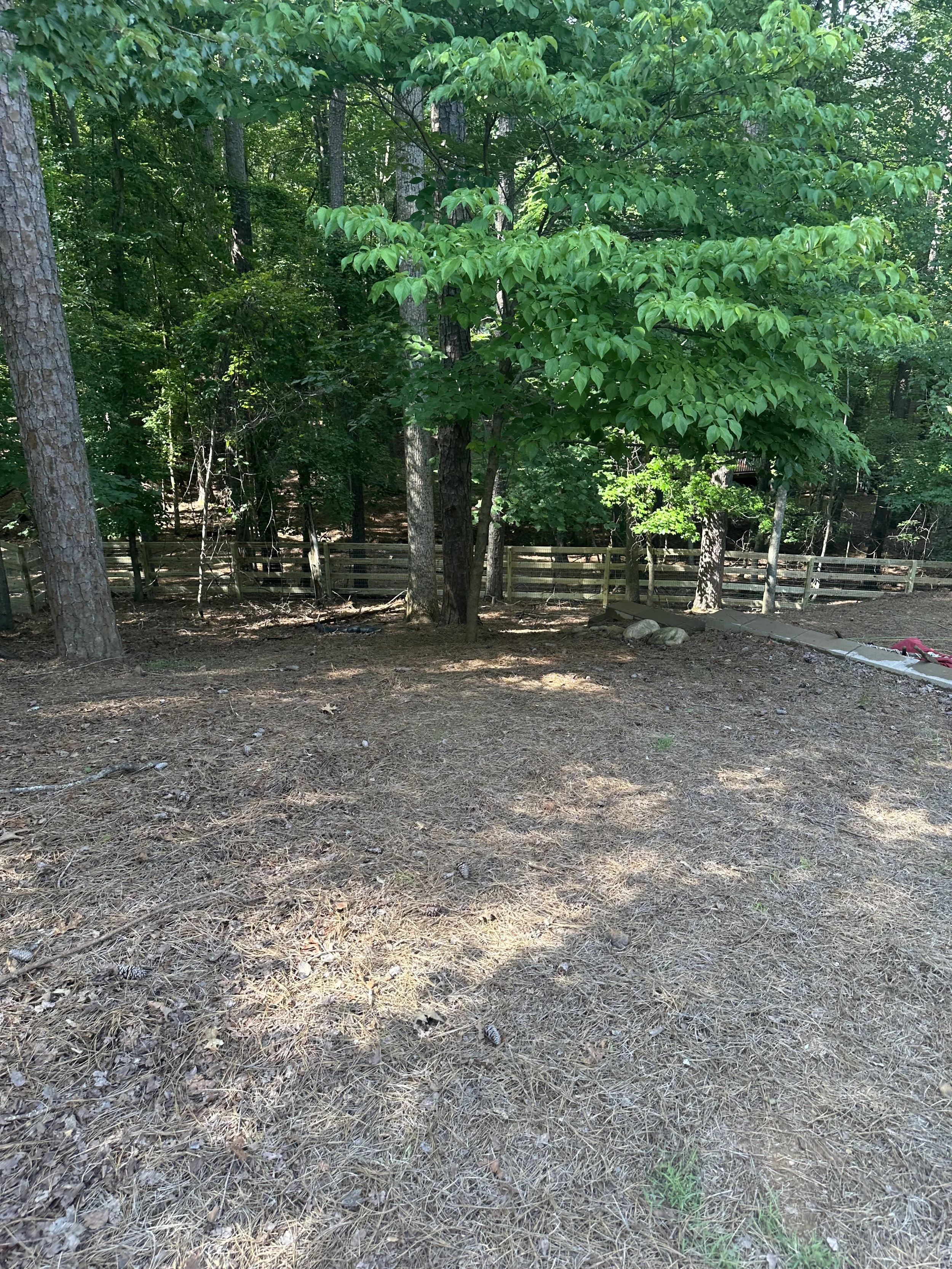 IMG_1880.jpeg