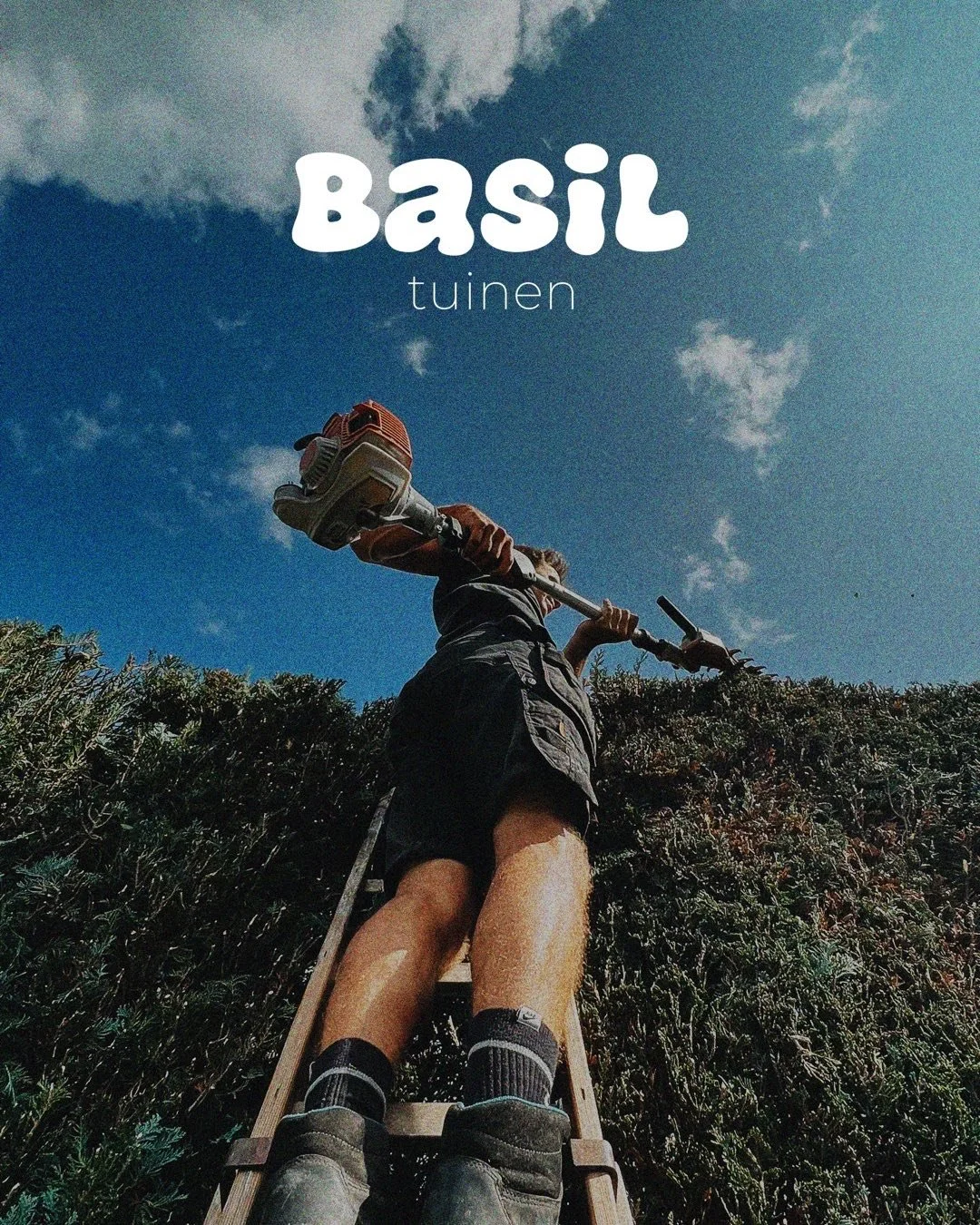 Blooming possibilities