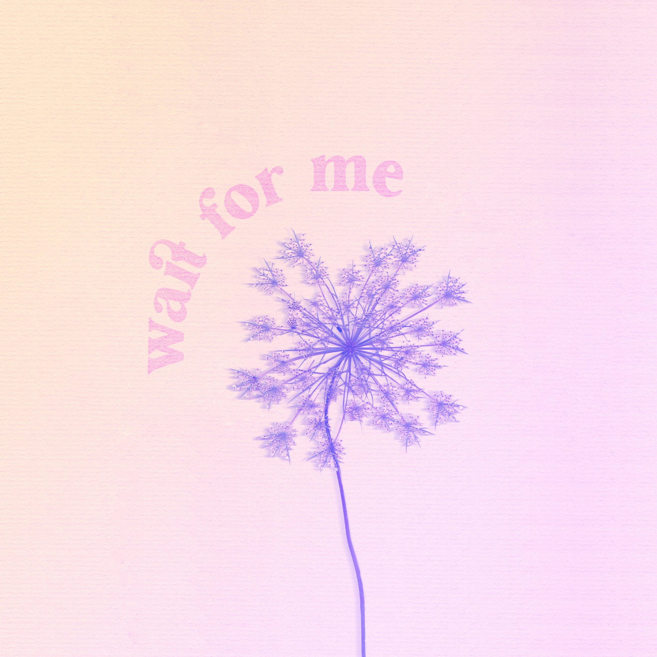 A purple and blue dandelion plant on a pastel pink background with the words "wait for me" in pink curved text above