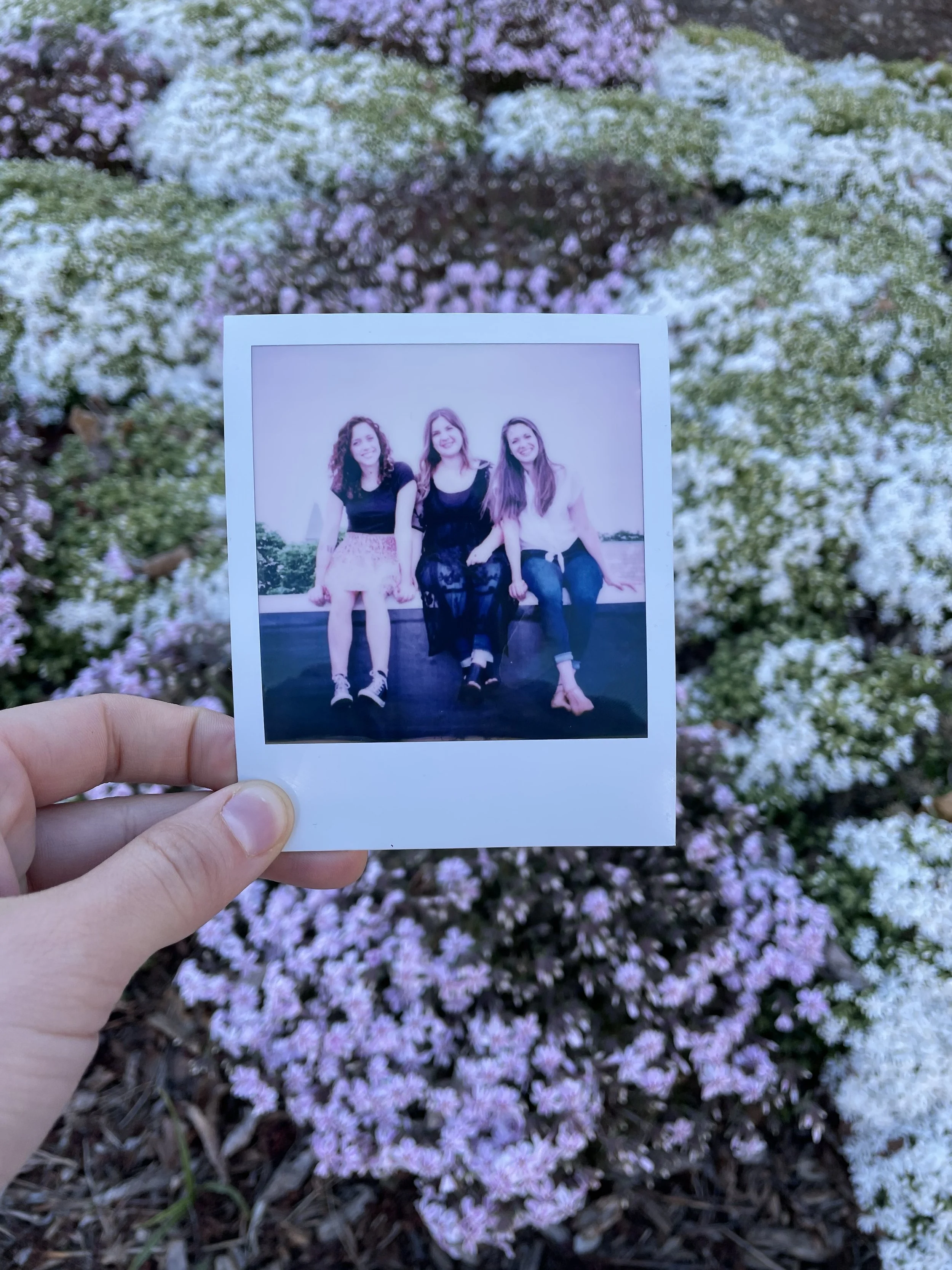 A hand holding a Polaroid photo of Violet Wilder in front of purple and white flowers