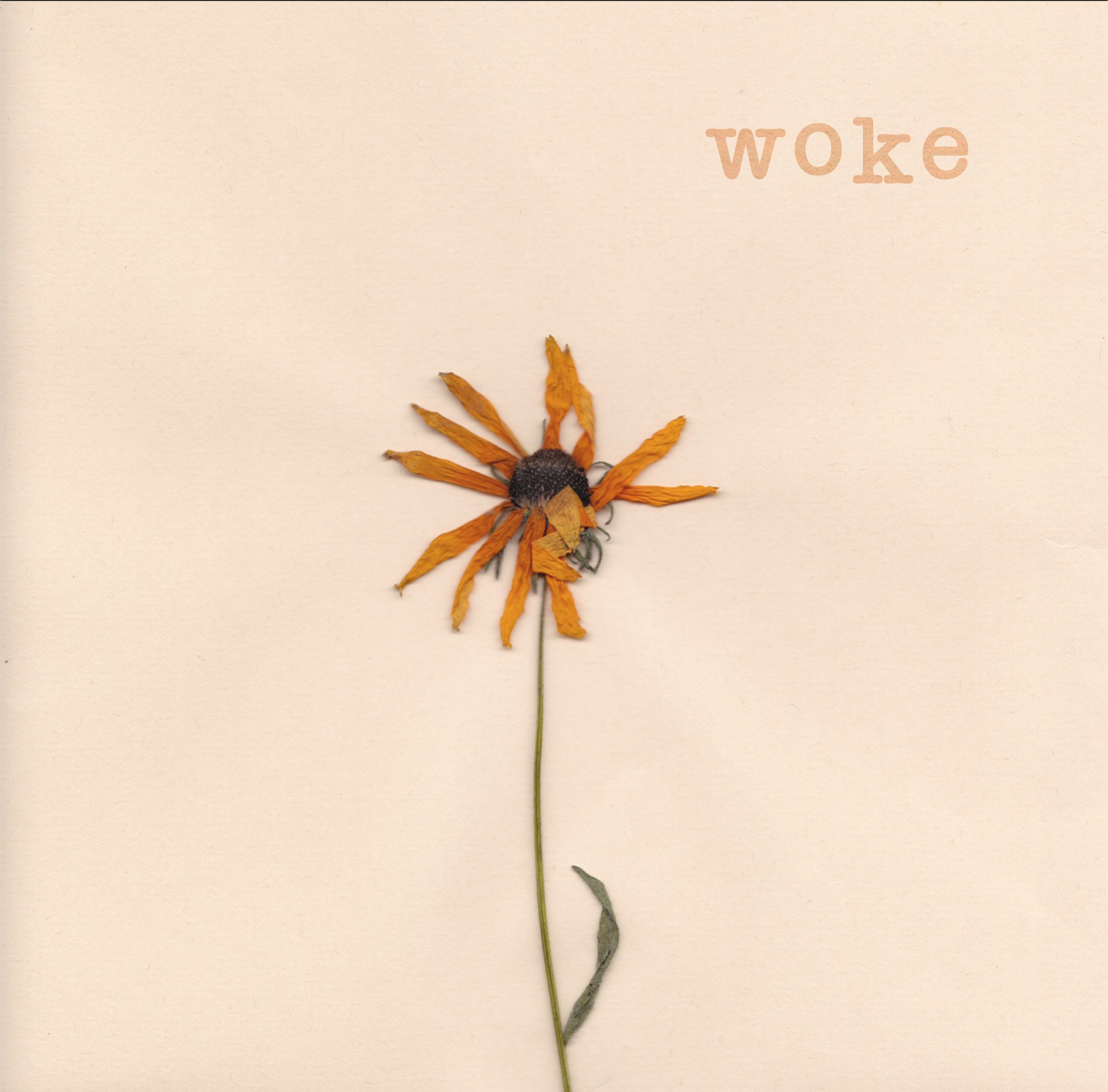 A dried orange and black flower with a green stem on a cream background, with the word 'woke' in light brown text in the upper right corner.