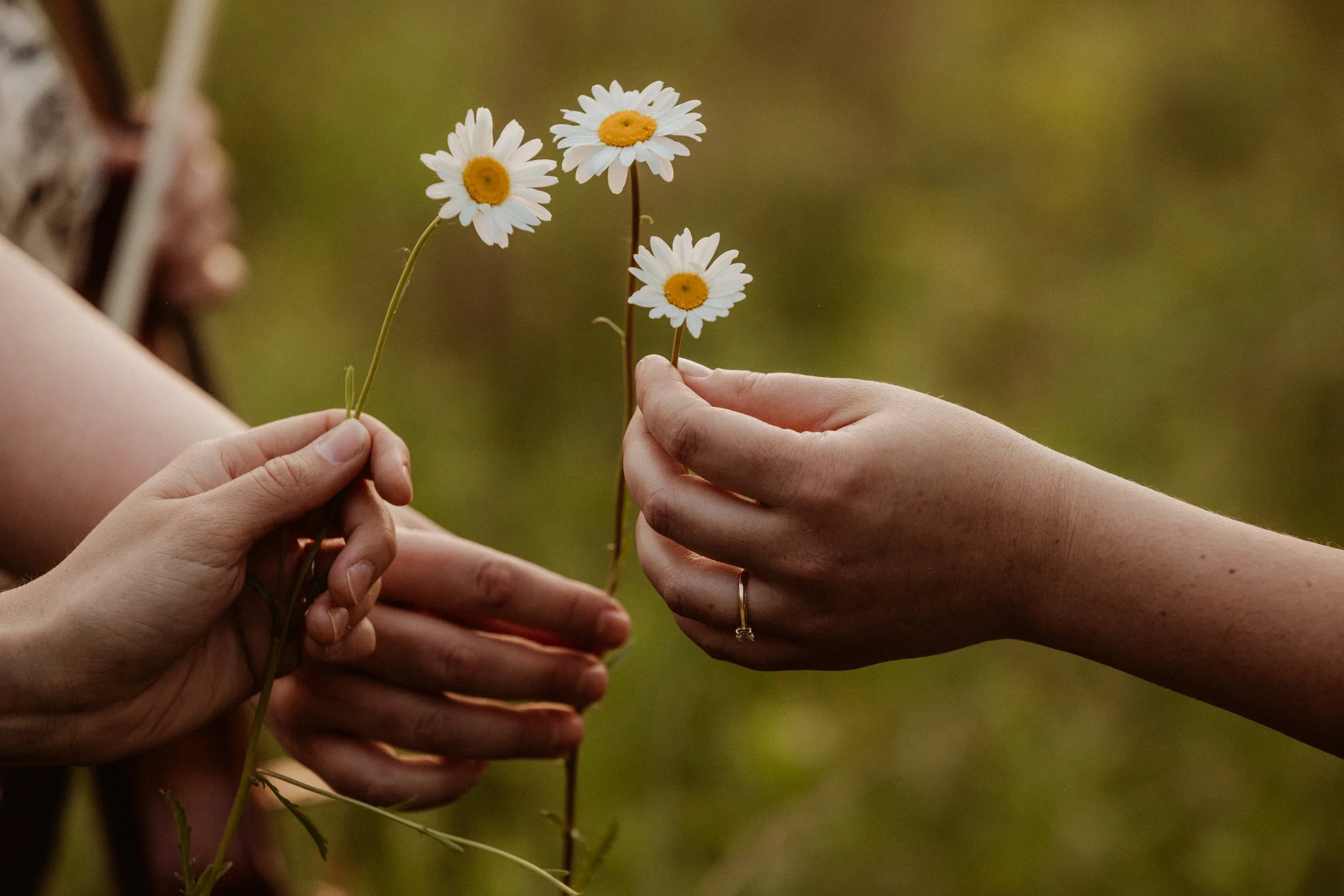 Three hands each holding a flower