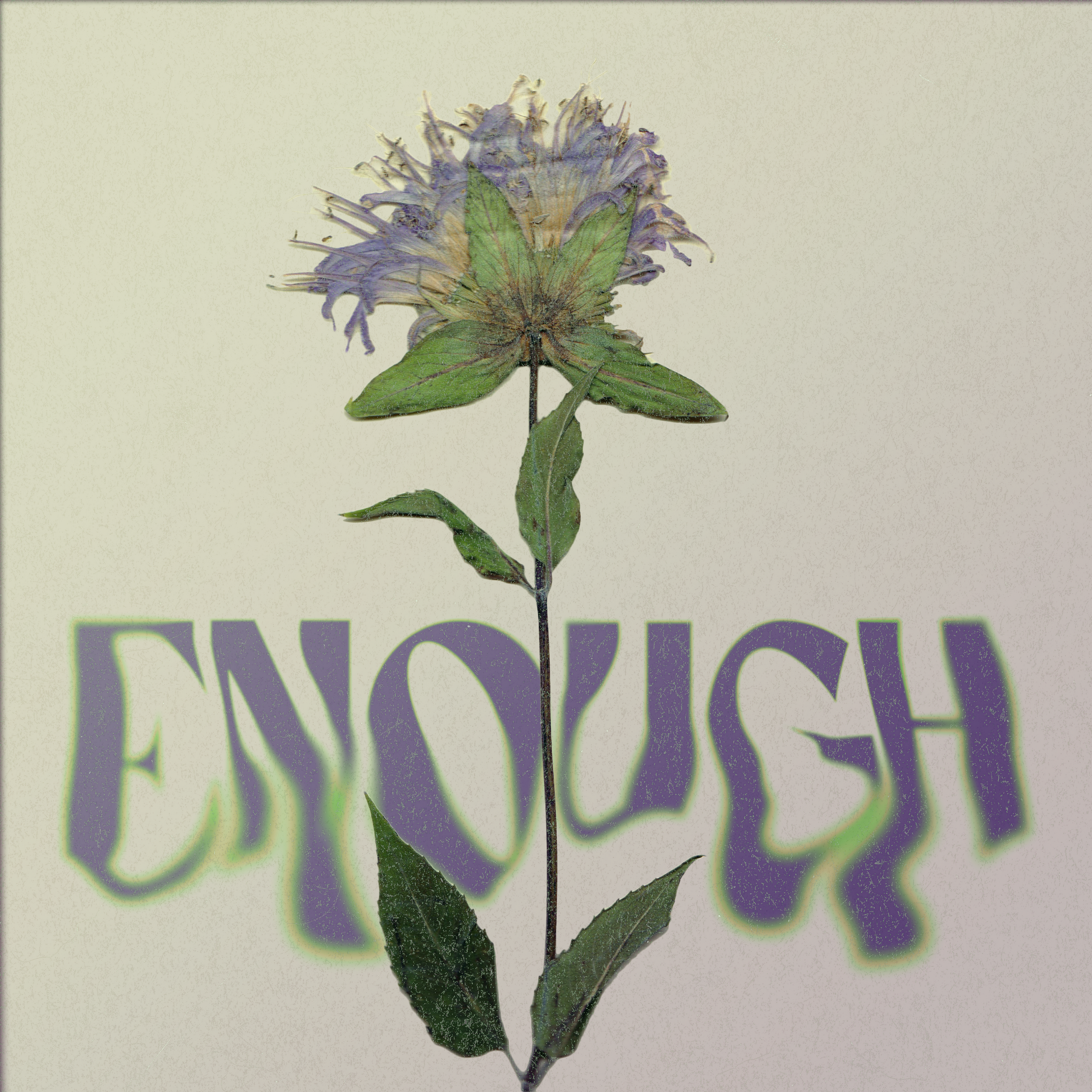A dried flower placed over the word 'ENOUGH' written in bold purple letters on a beige background.