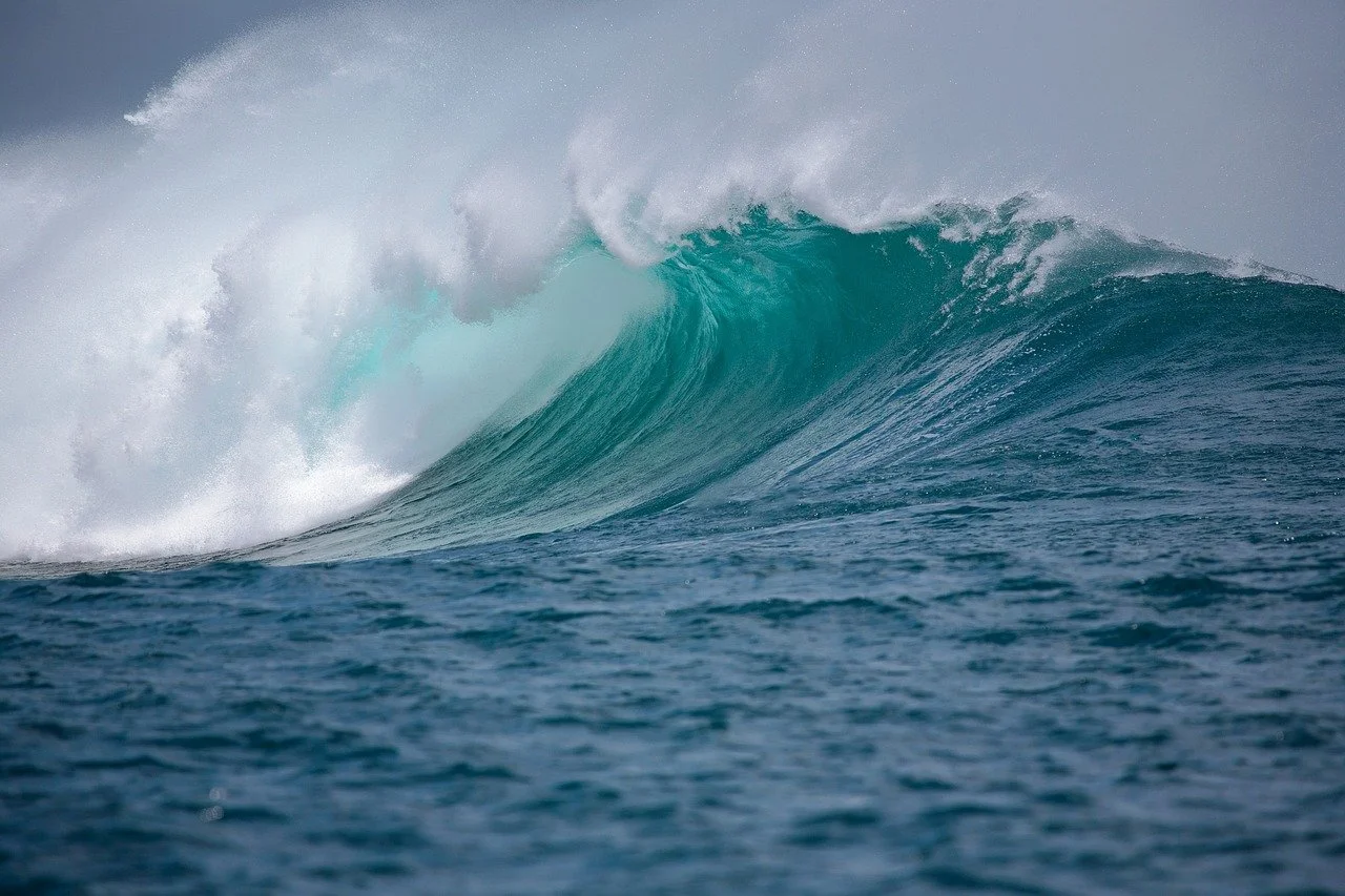 Riding Life’s Waves: How Health Coaching and Inner Strength Support Your Healing