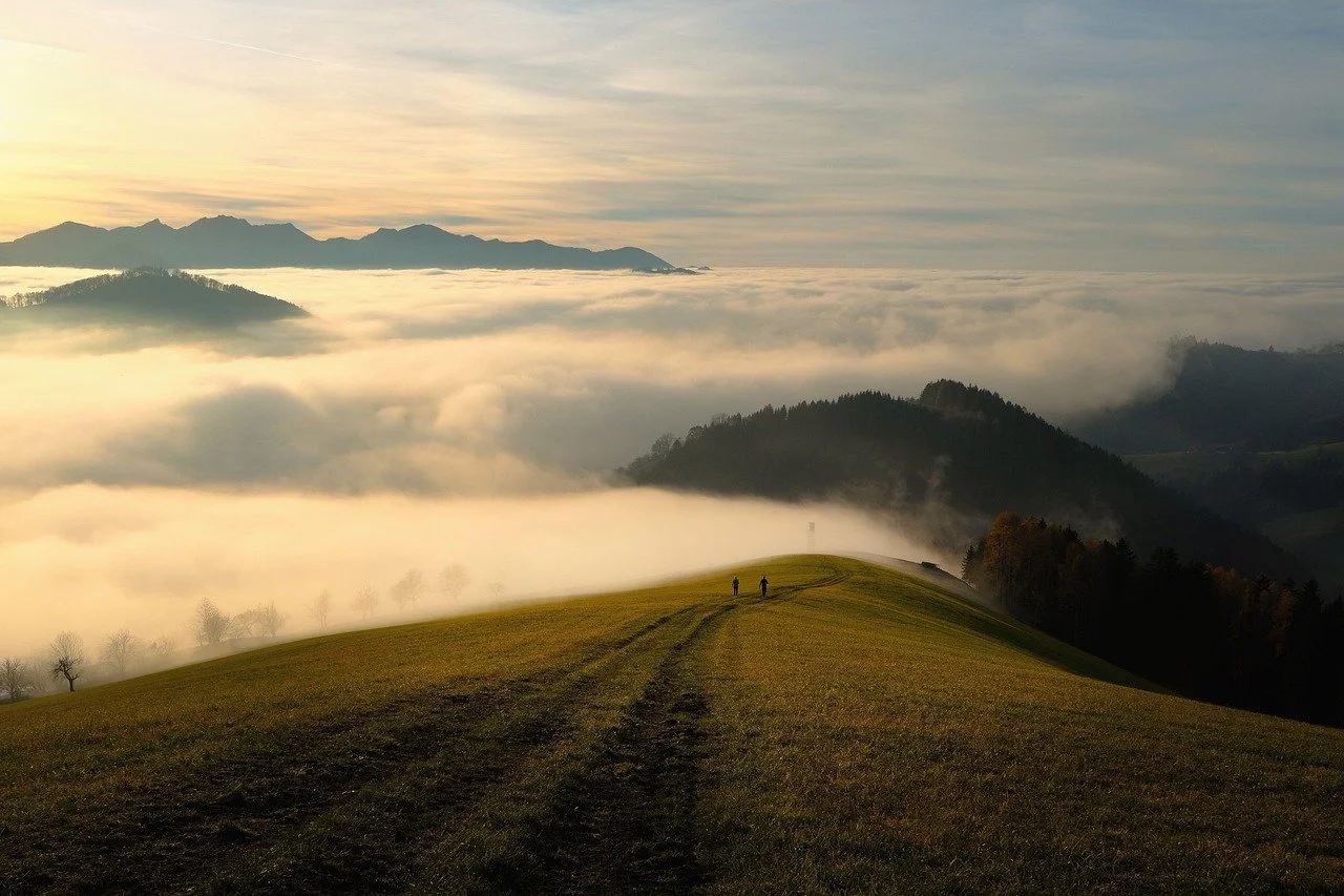 The Two Paths of Validation: External vs. Internal