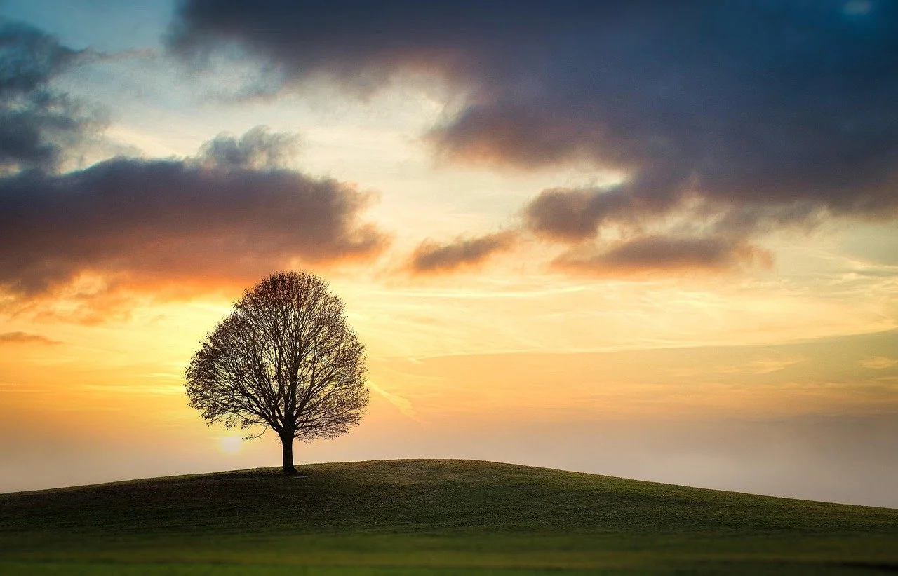 The ONE Thing to Work On to Achieve the Life You Want