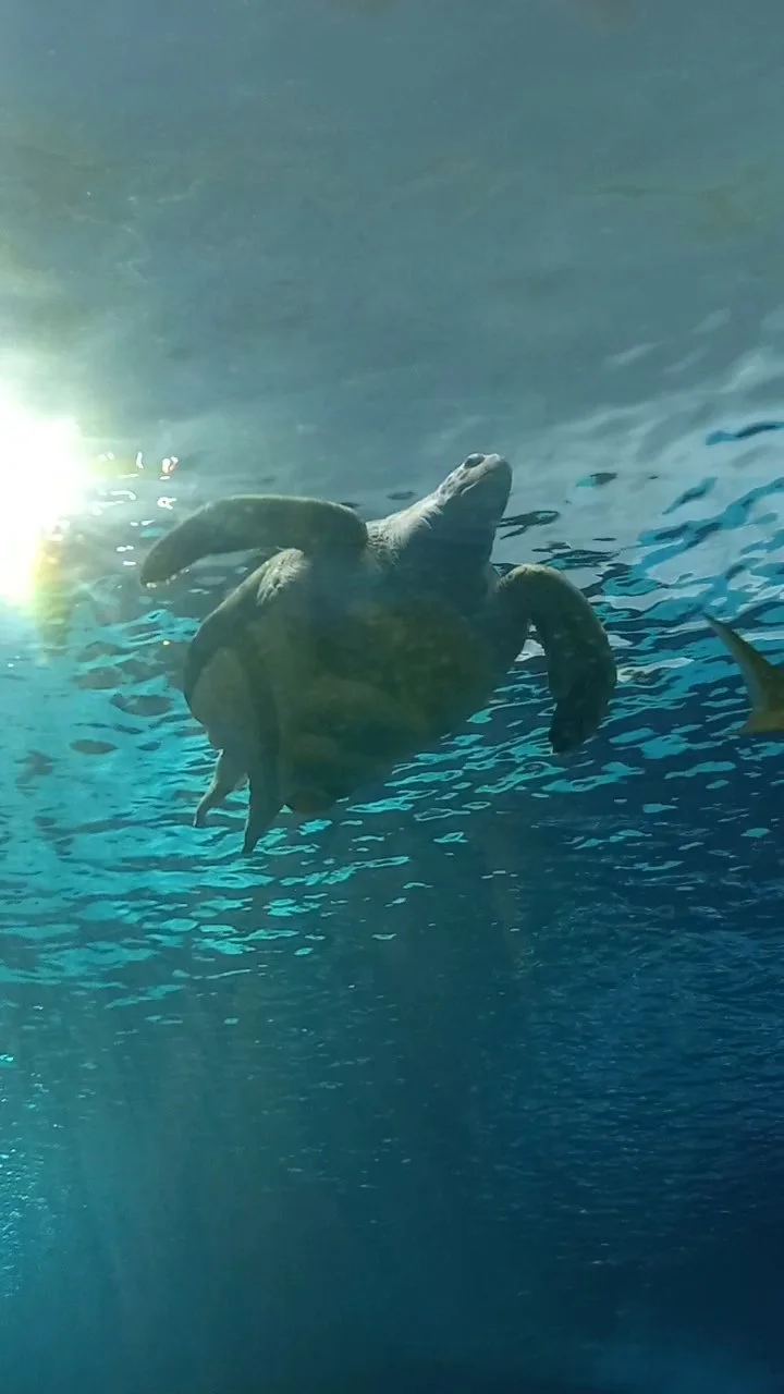 Print Is Too Slow? That’s Exactly the Point.