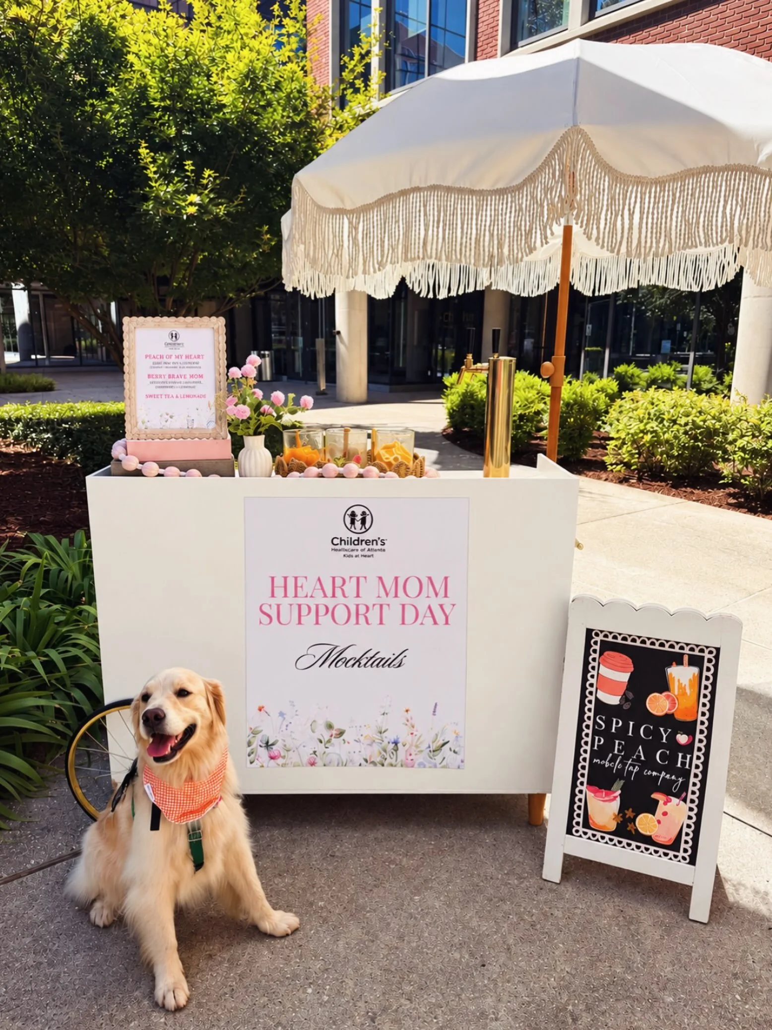 BIG NEWS! 😍

CHOA&rsquo;s very own Canine Assistant, Pepa, gave Spicy Peach her official paw of approval at Heart Mom Support Day! 🐾🍑

Safe to say, this might be our favorite review yet. 🥹💚