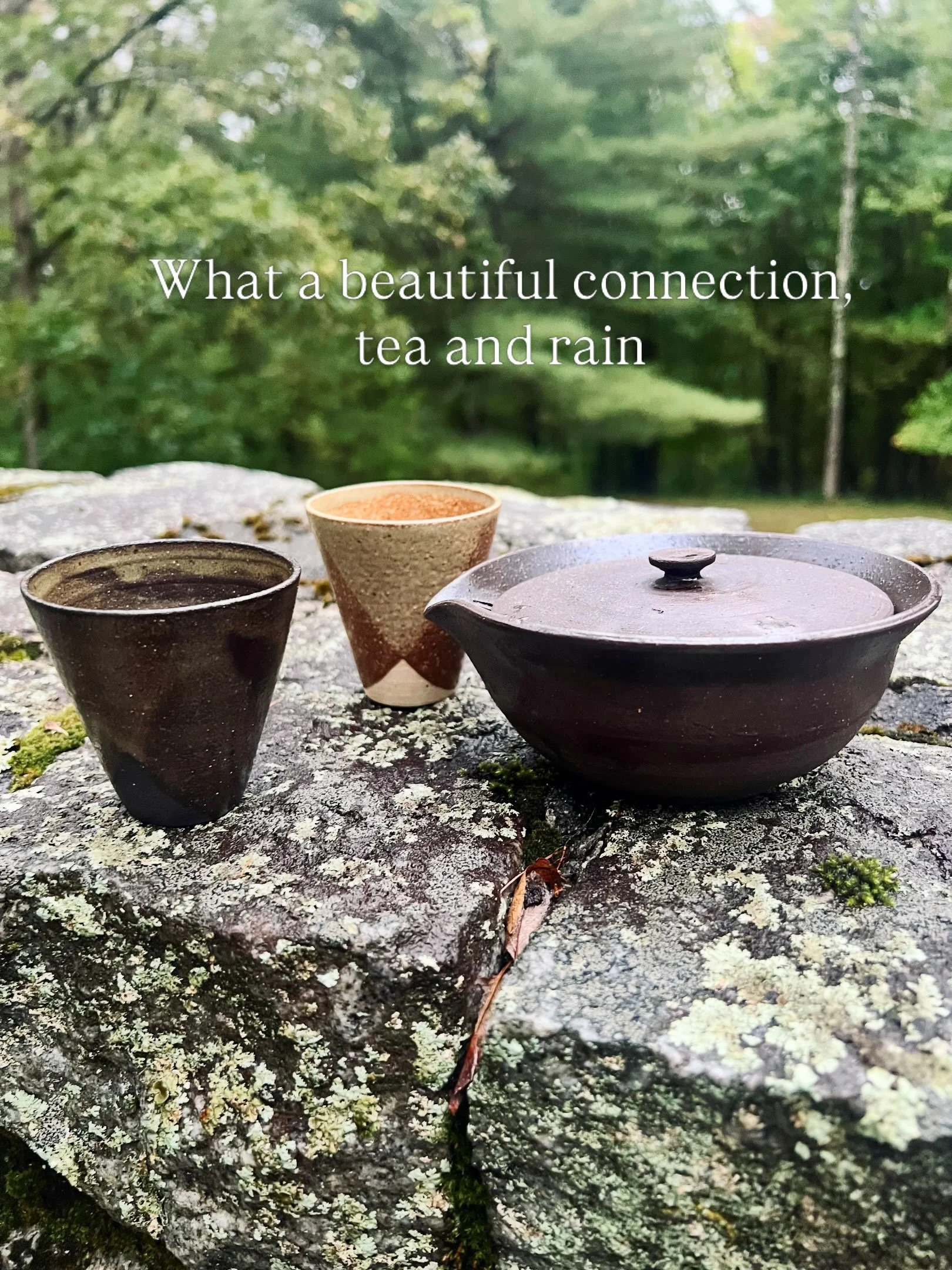 Today we are drinking Alishan Tsou Oolong from @artefact_marais 

Origin: Zhuqi, Alishan, Taiwan

Cultivar: Qing Xin

Altitude: 1450 m

Source: Directly from the producing farm

Tasting notes:

Fresh and honeyed taste

Floral notes