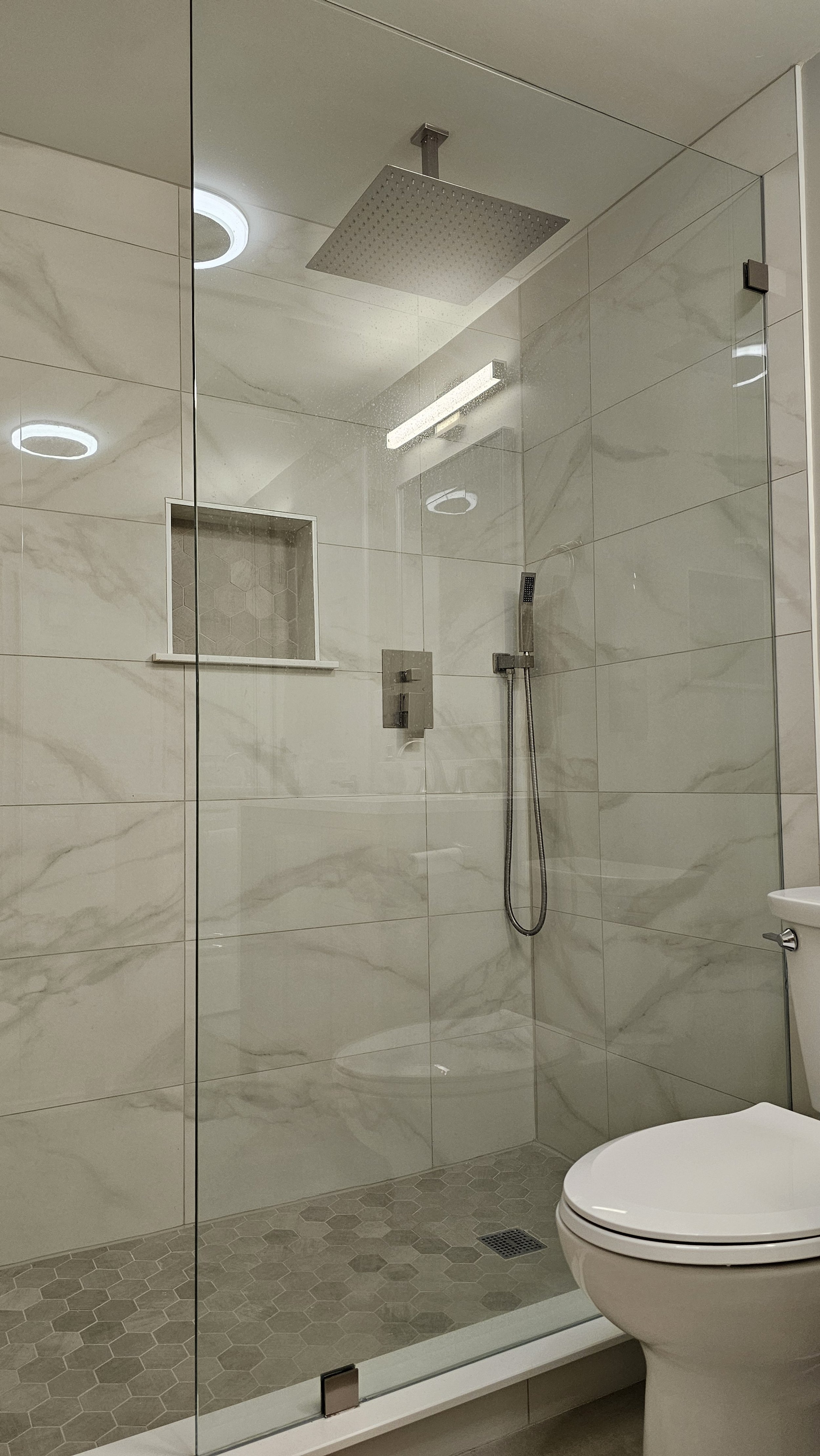 Shower area with a rainfall showerhead and handheld shower. Glass partition with a shower niche. Toilet in the foreground.