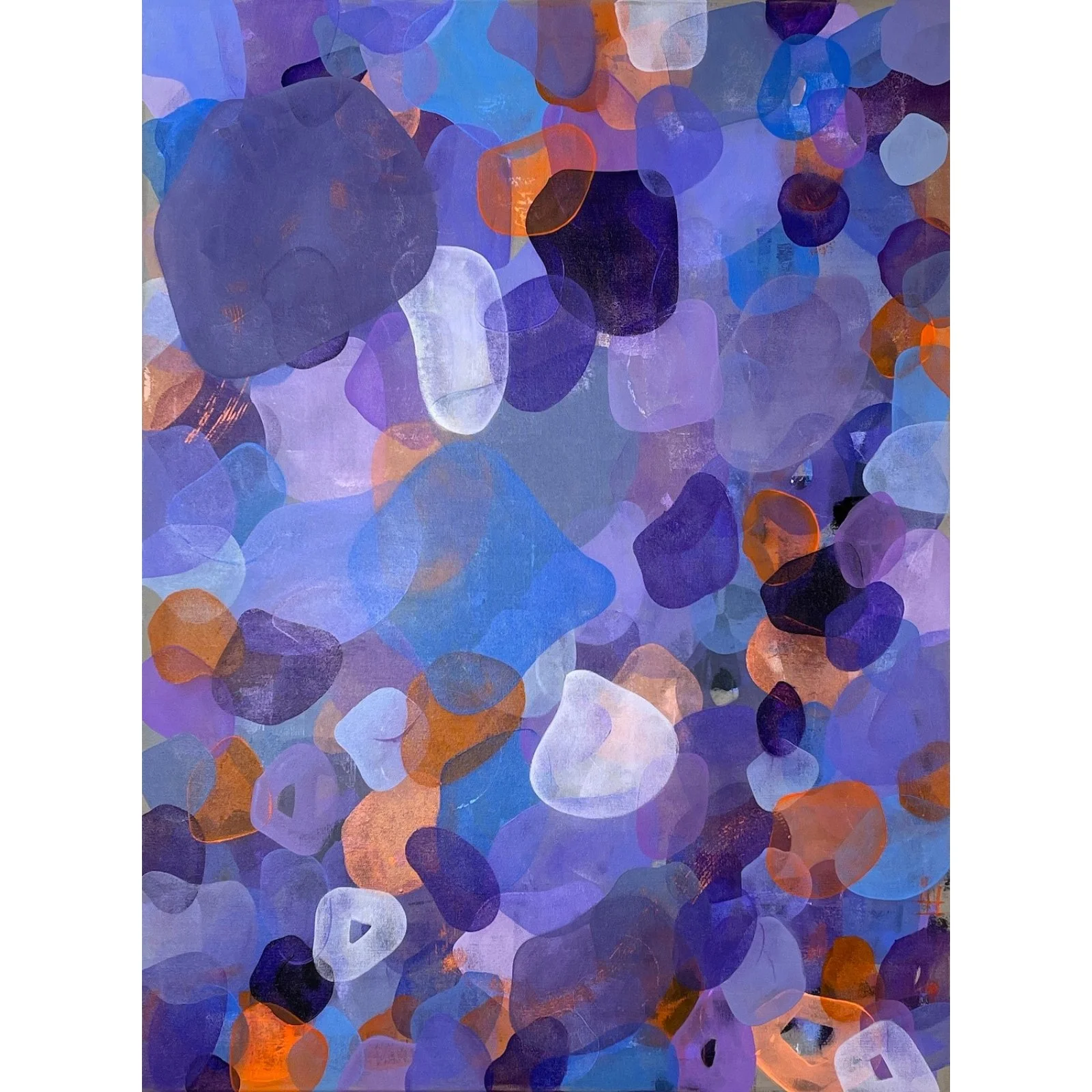 California Superbloom | 40 x 30 inches | $1050