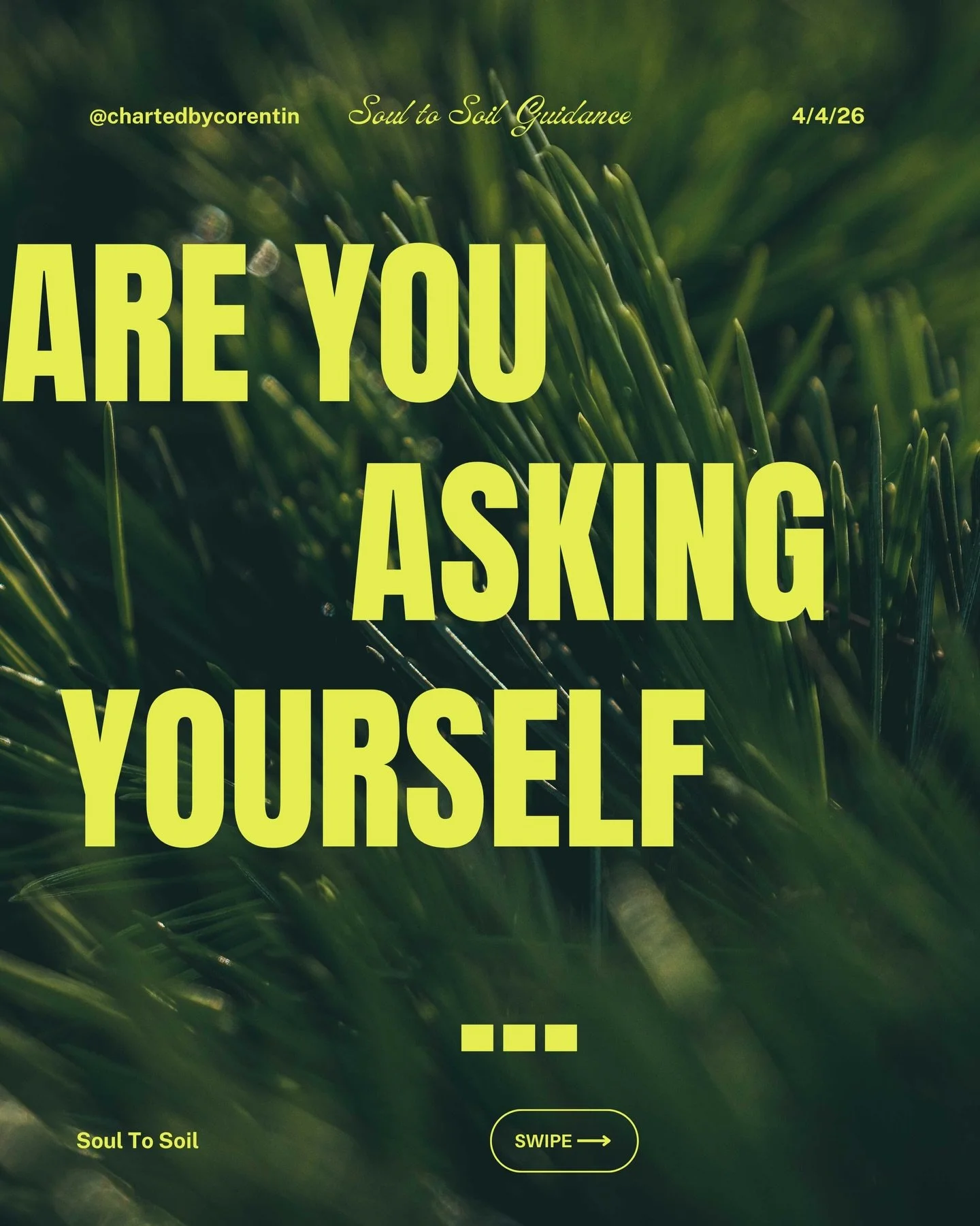 I don&rsquo;t want to build a life around pain. 
I don&rsquo;t want to keep living from survival, urgency, or the part of me that only knows how to endure.

What I want is to turn what I&rsquo;ve lived through into something honest, grounded, and of 