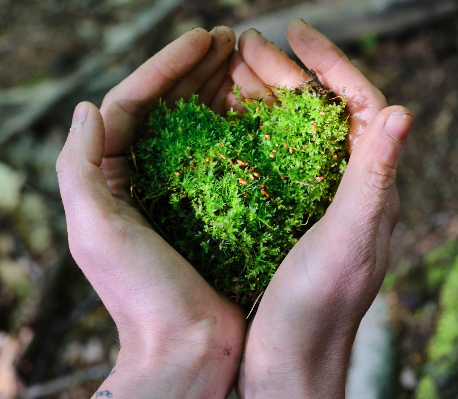 HandsHeart2.png (Copy)