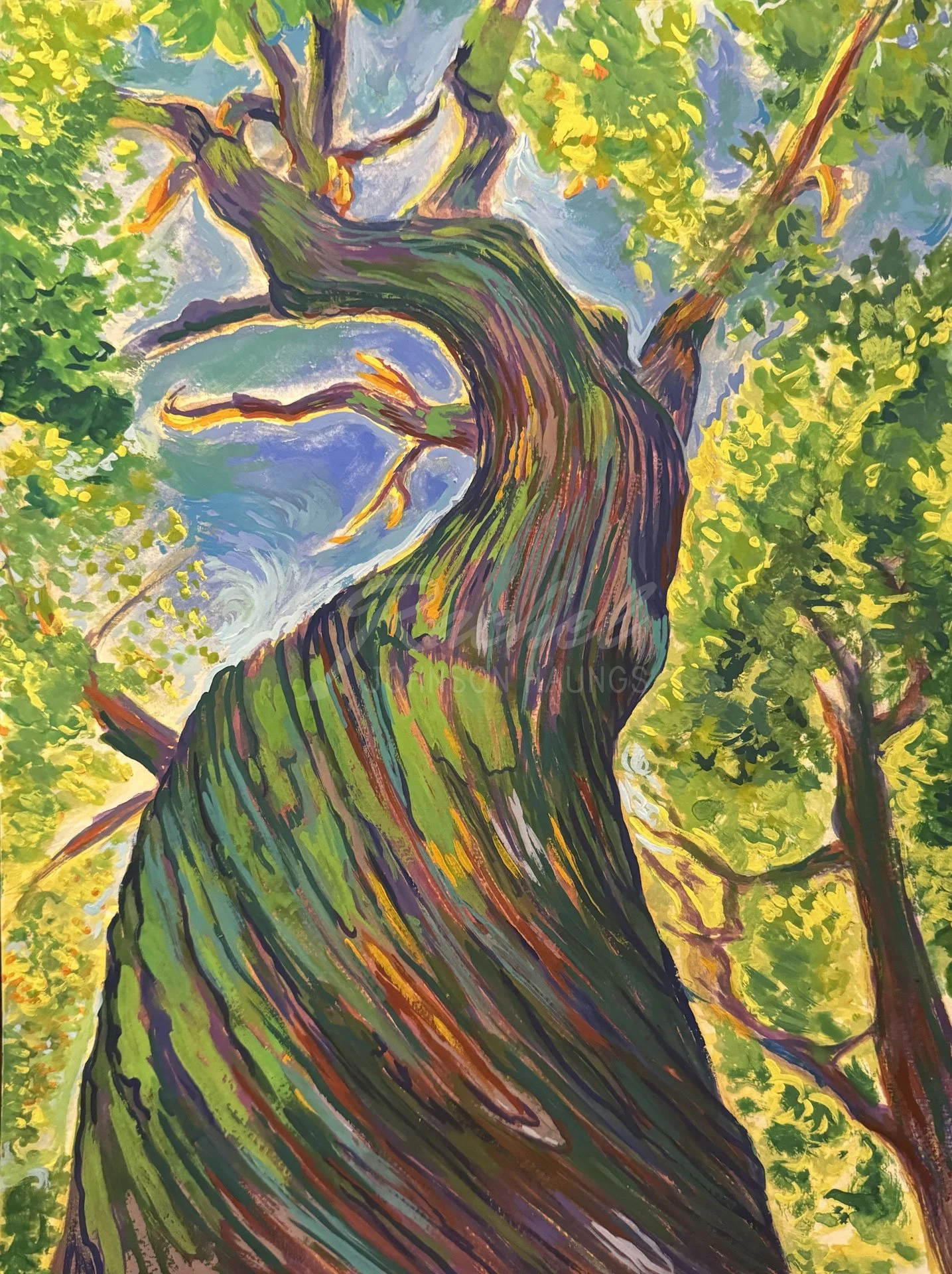 Jagged-Tree-2_Rachel-J-Haungs_11x15.JPG