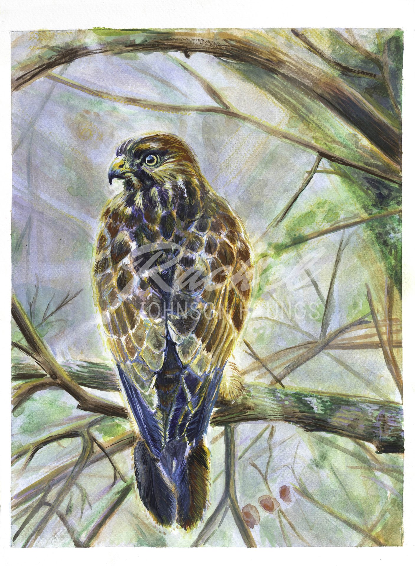 Transformation - Juried Exhibit with the Guild of Charlotte Artists at the Mint Museum