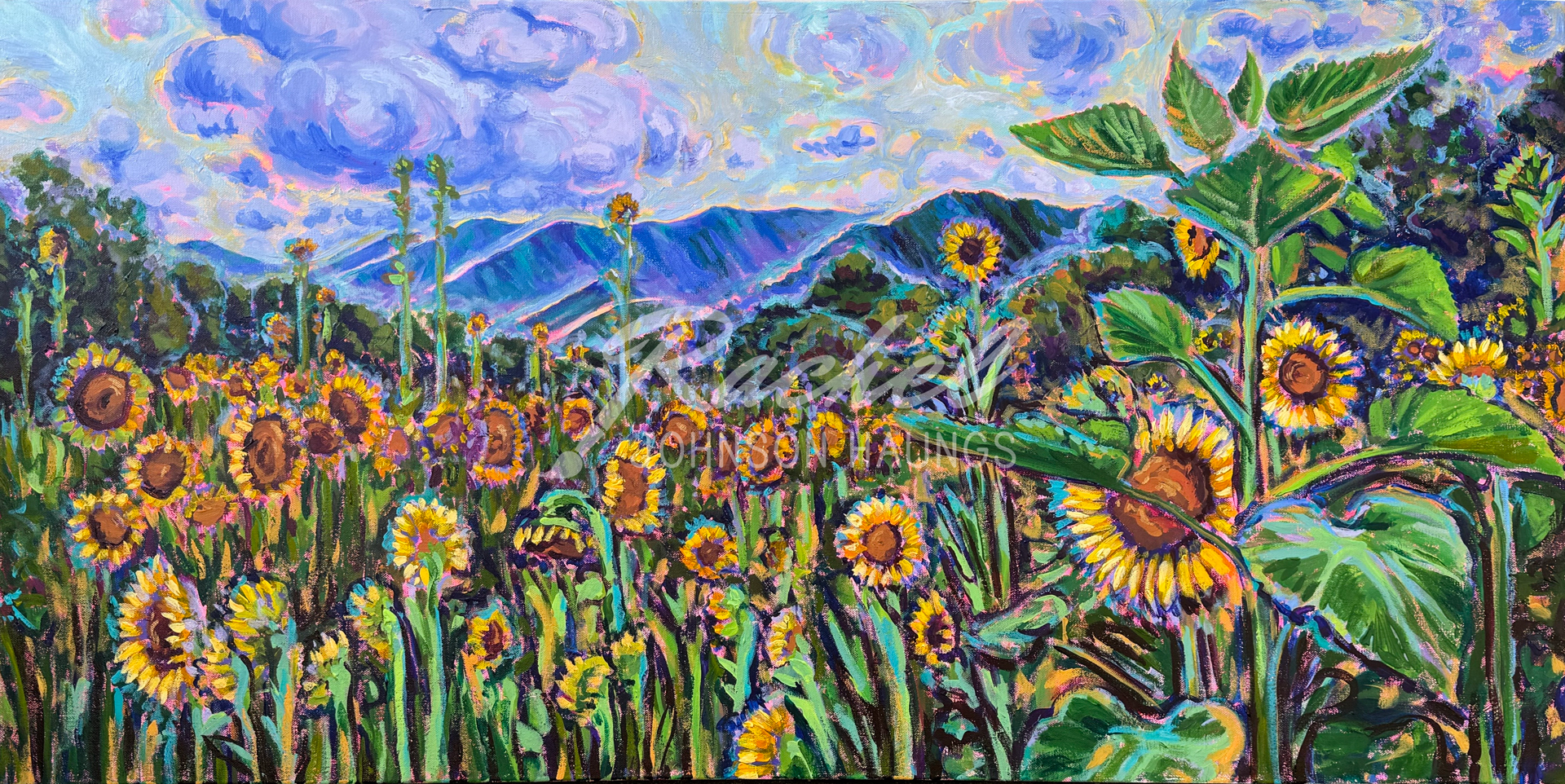 RachelJHaungs_Sunflower-Maze-in-the-Ten-Acre-Garden_48x24.png