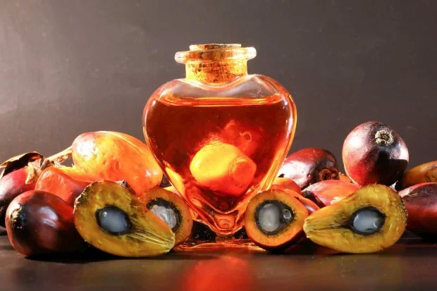 Crude Palm Oil 13.webp