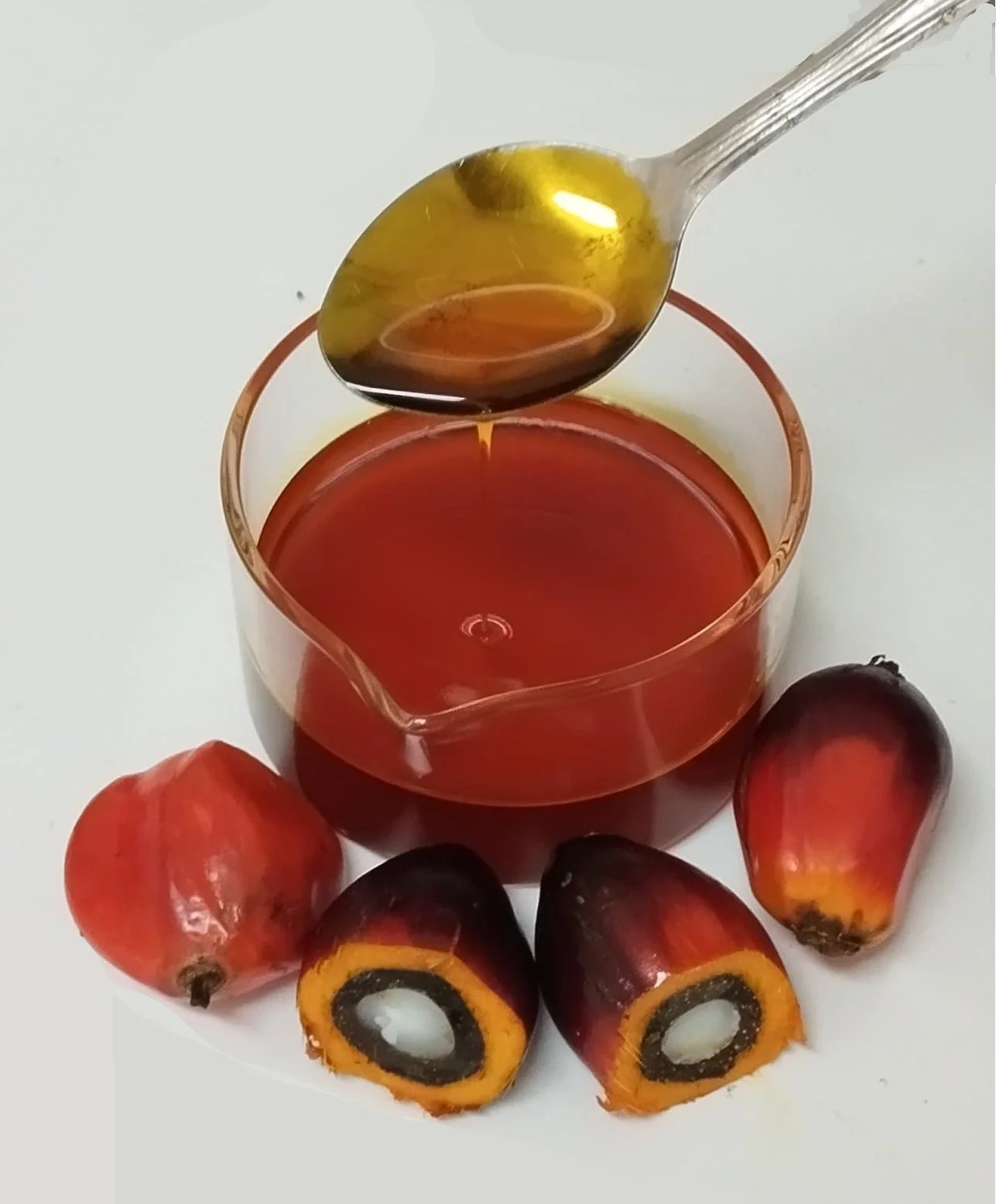 Crude Palm Oil 14.jpg